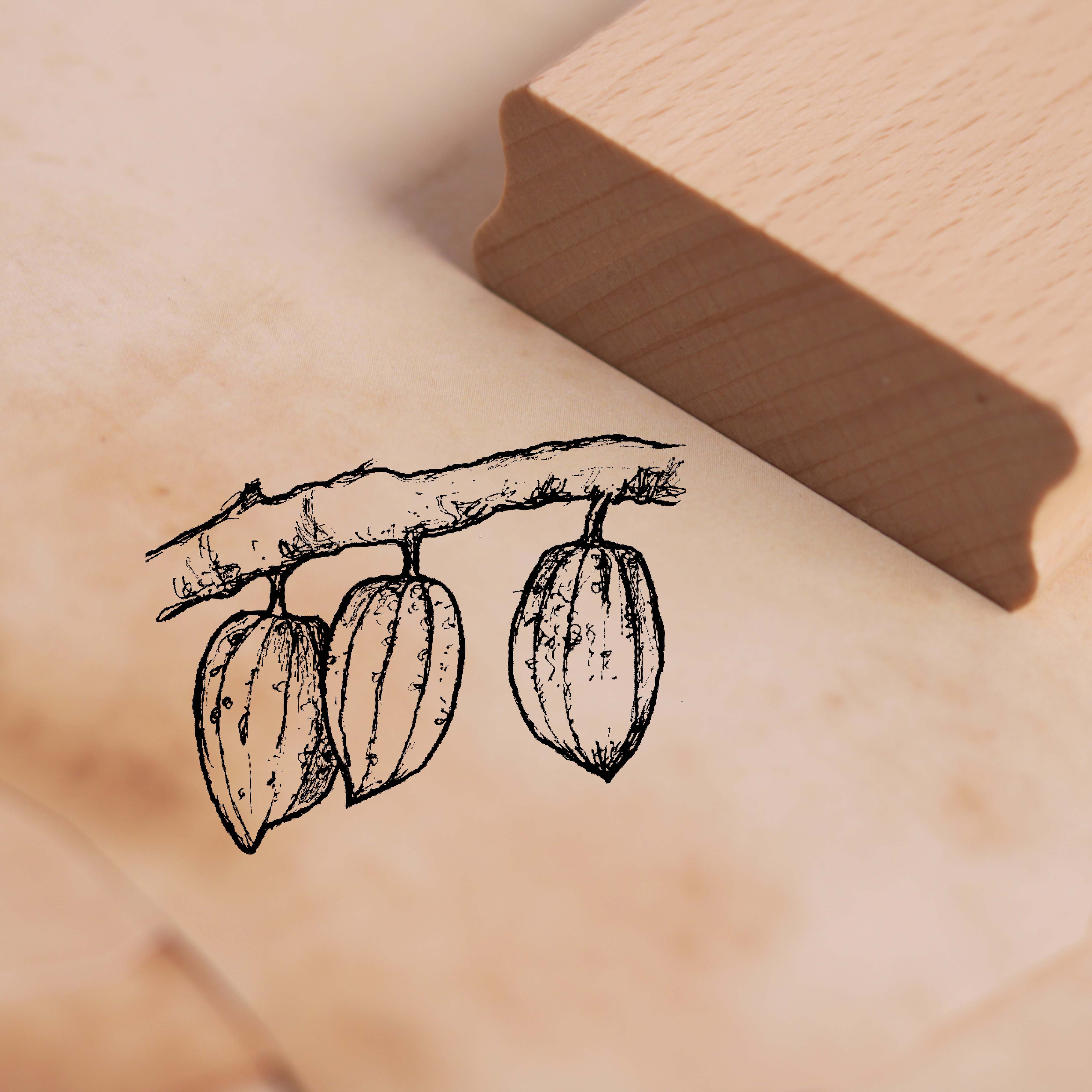 Motivstempel Kakaobohne Kakao Stempel Holzstempel 48 x 38 mm