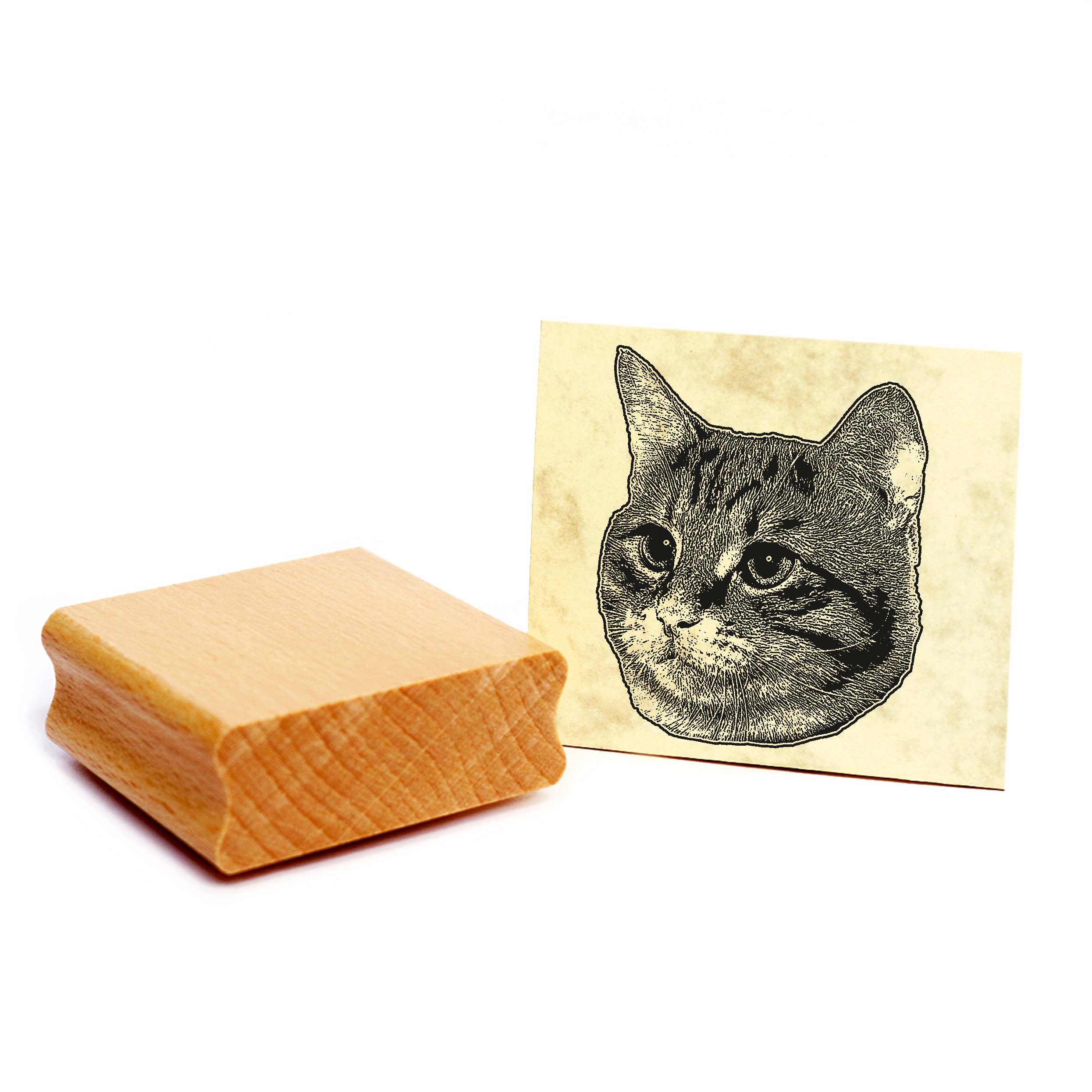 Motivstempel Europäisch Kurzhaar - Stempel Katze Holzstempel ca. 48 x 48 mm