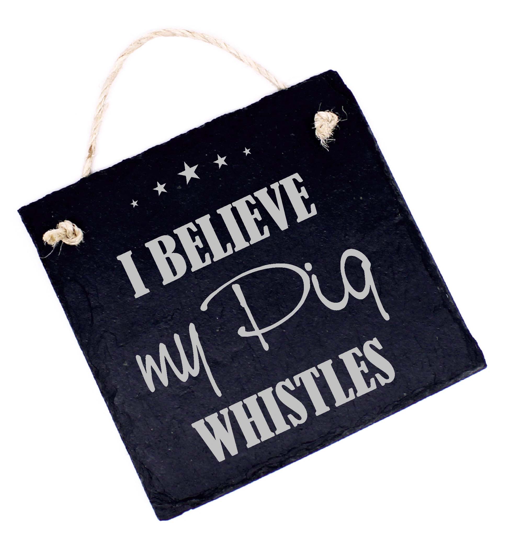 Denglisch Spruch Schild graviert I BELIEVE MY PIG WHISTLES Türschild Schiefer 11x11cm