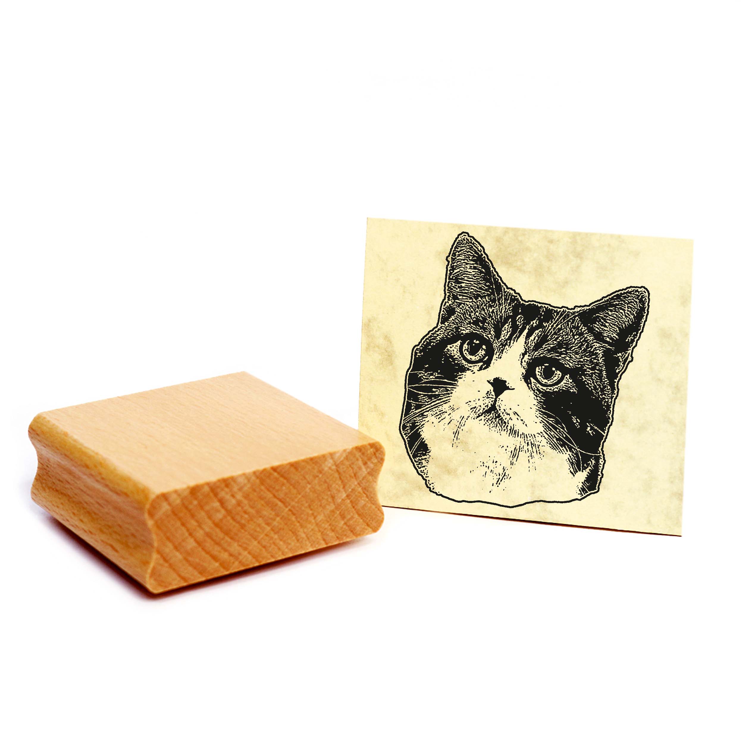 Motivstempel American Wirehair - Stempel Katze Holzstempel ca. 48 x 48 mm