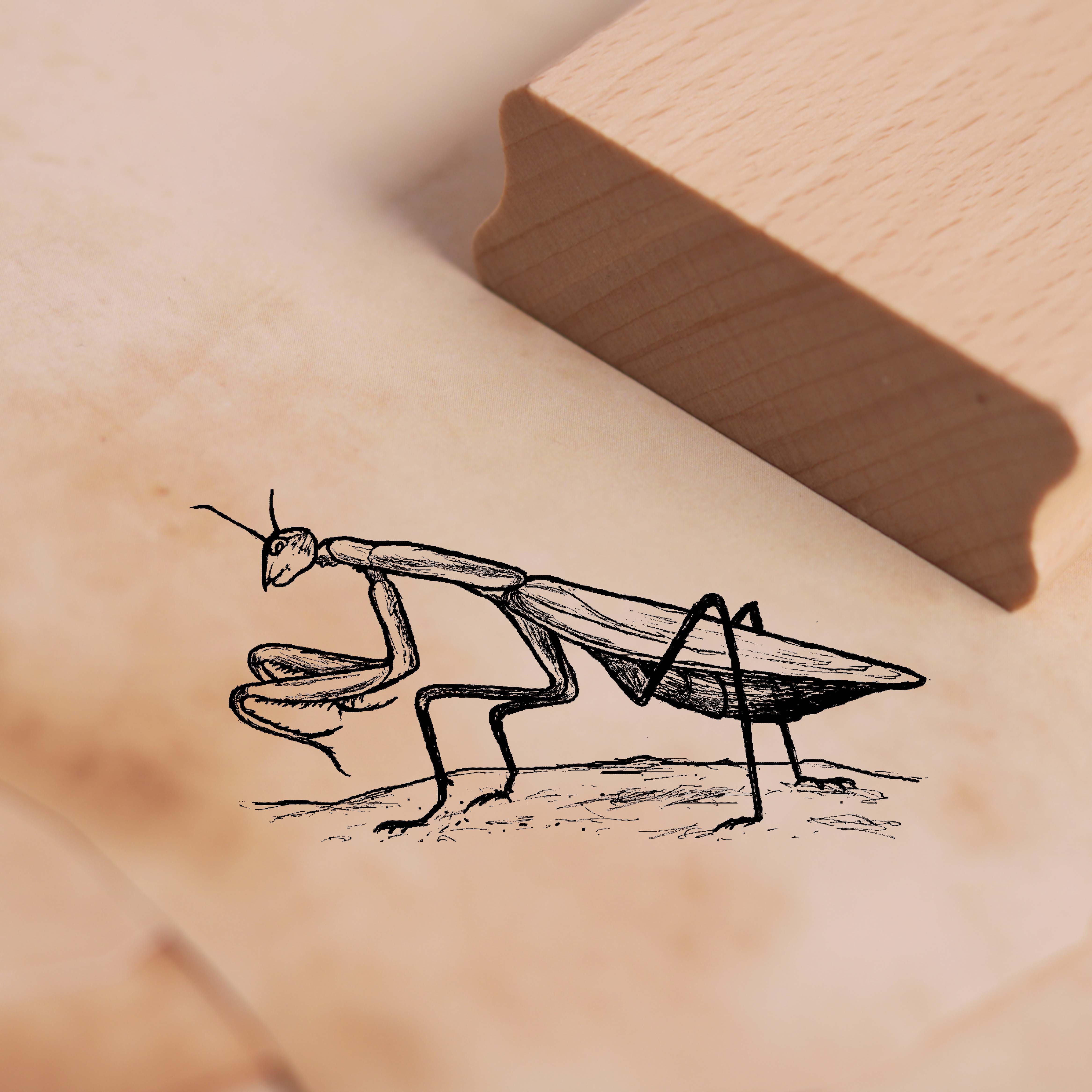 Motivstempel Gottesanbeterin - Stempel Insekt 58 x 28 mm
