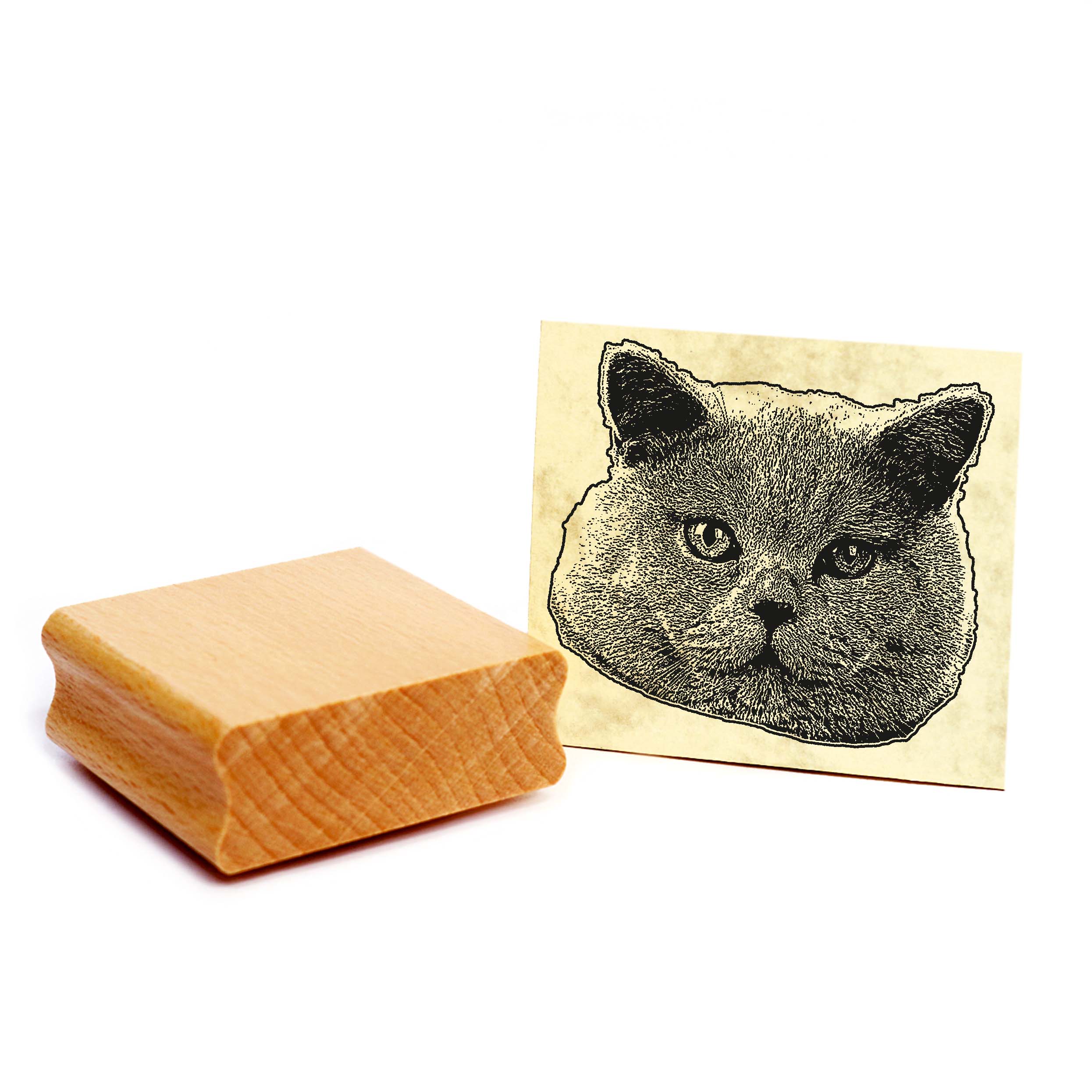 Motivstempel Britisch Kurzhaar - Stempel Katze Holzstempel ca. 48 x 48 mm
