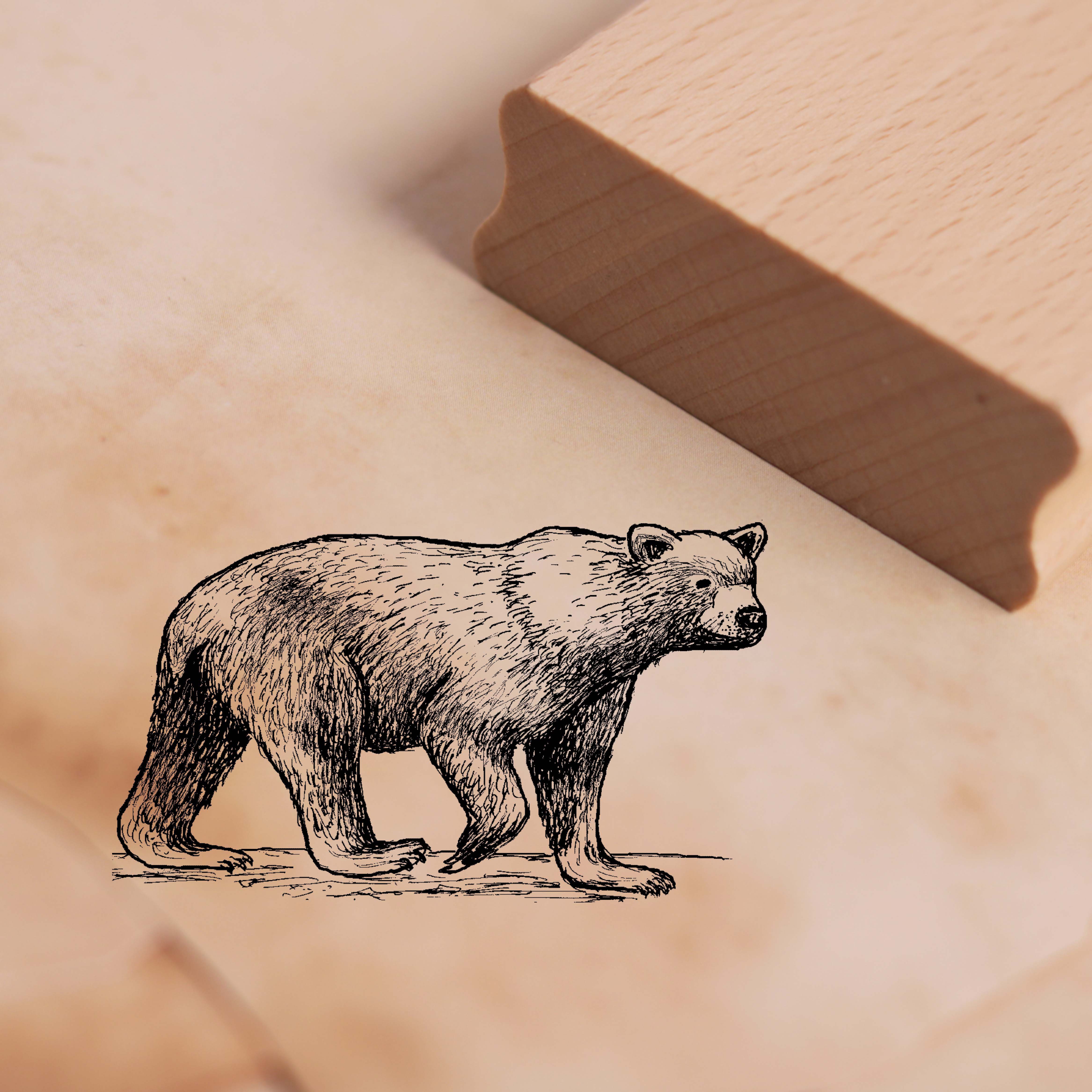 Motivstempel Braunbär geht Stempel 48 x 28 mm