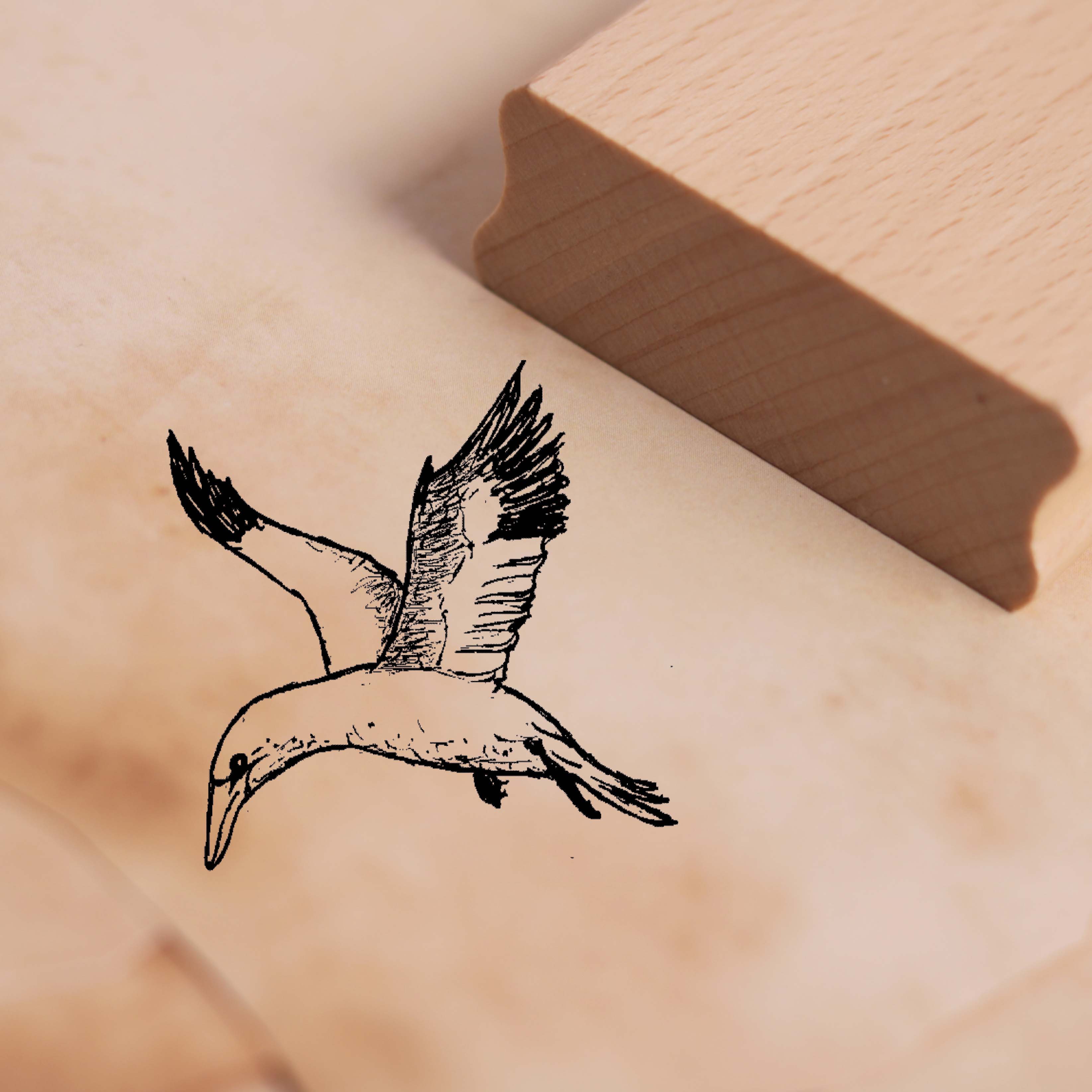Motivstempel Basstölpel fliegt - Meeresvogel Stempel 38 x 38 mm