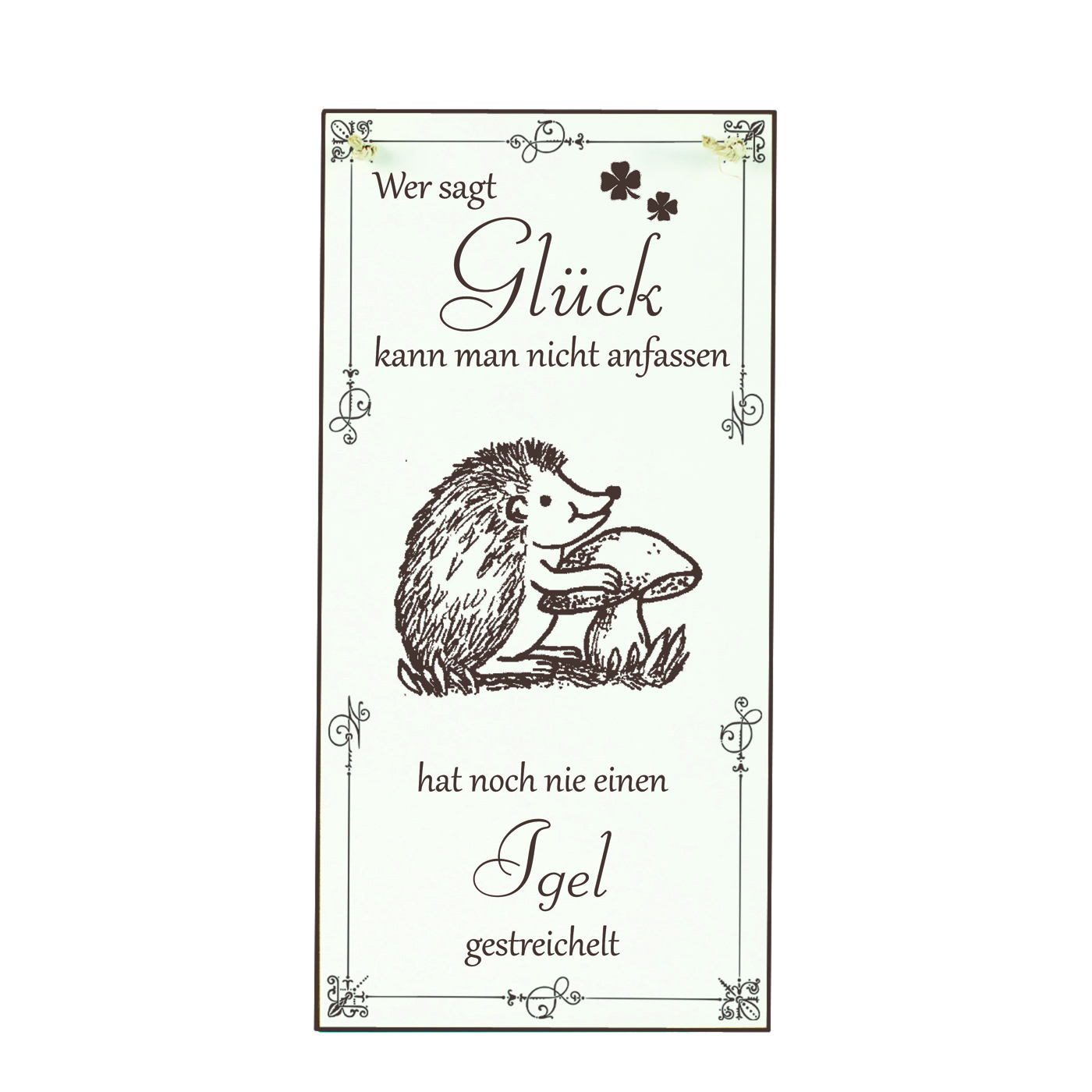 Schild Igel Glück kann man streicheln Spruch - Vintage Dekoschild Tiere Türschild  10 x 20 cm