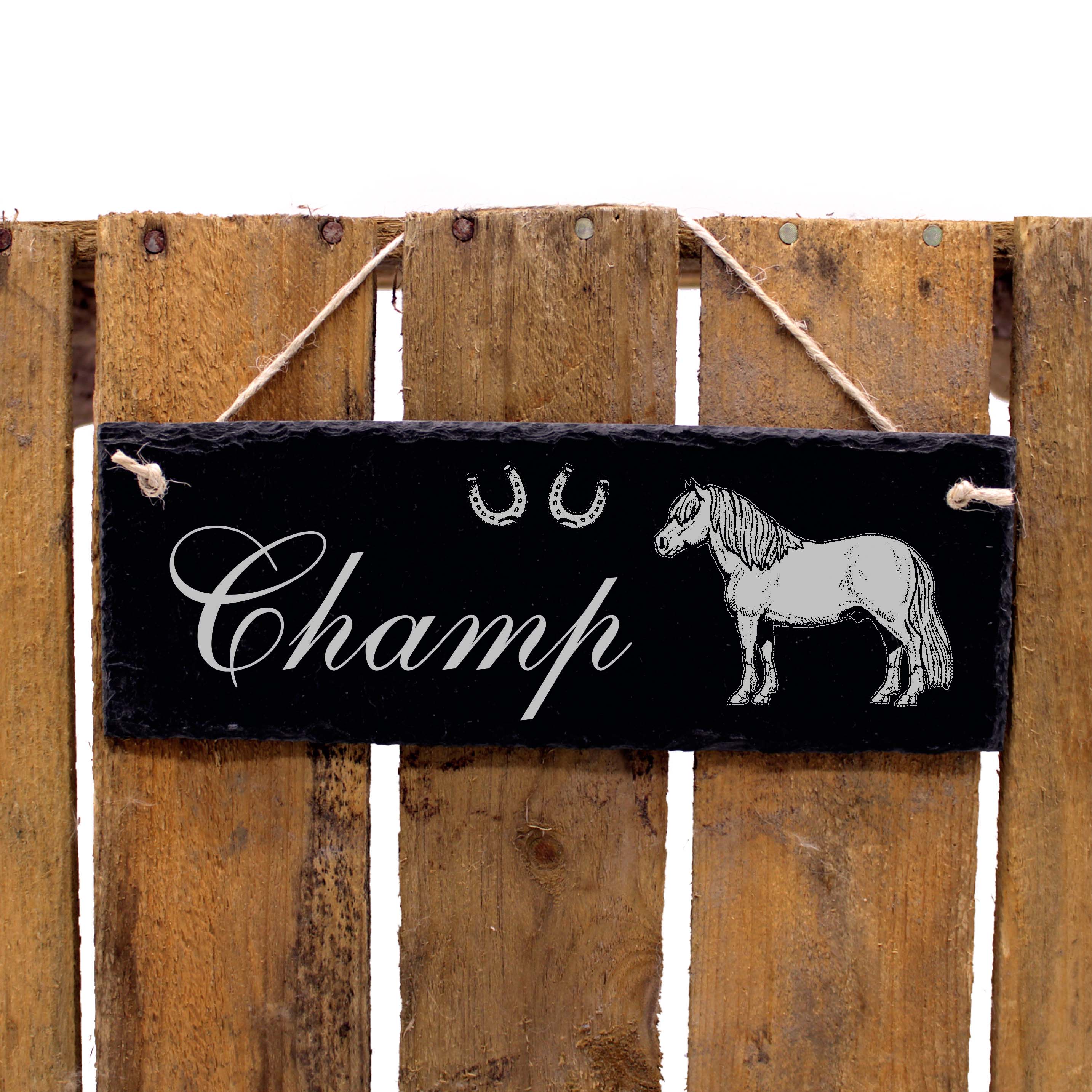 Schiefertafel Shetlandpony - Türschild mit Namen - zum Anhängen 22 x 8 cm