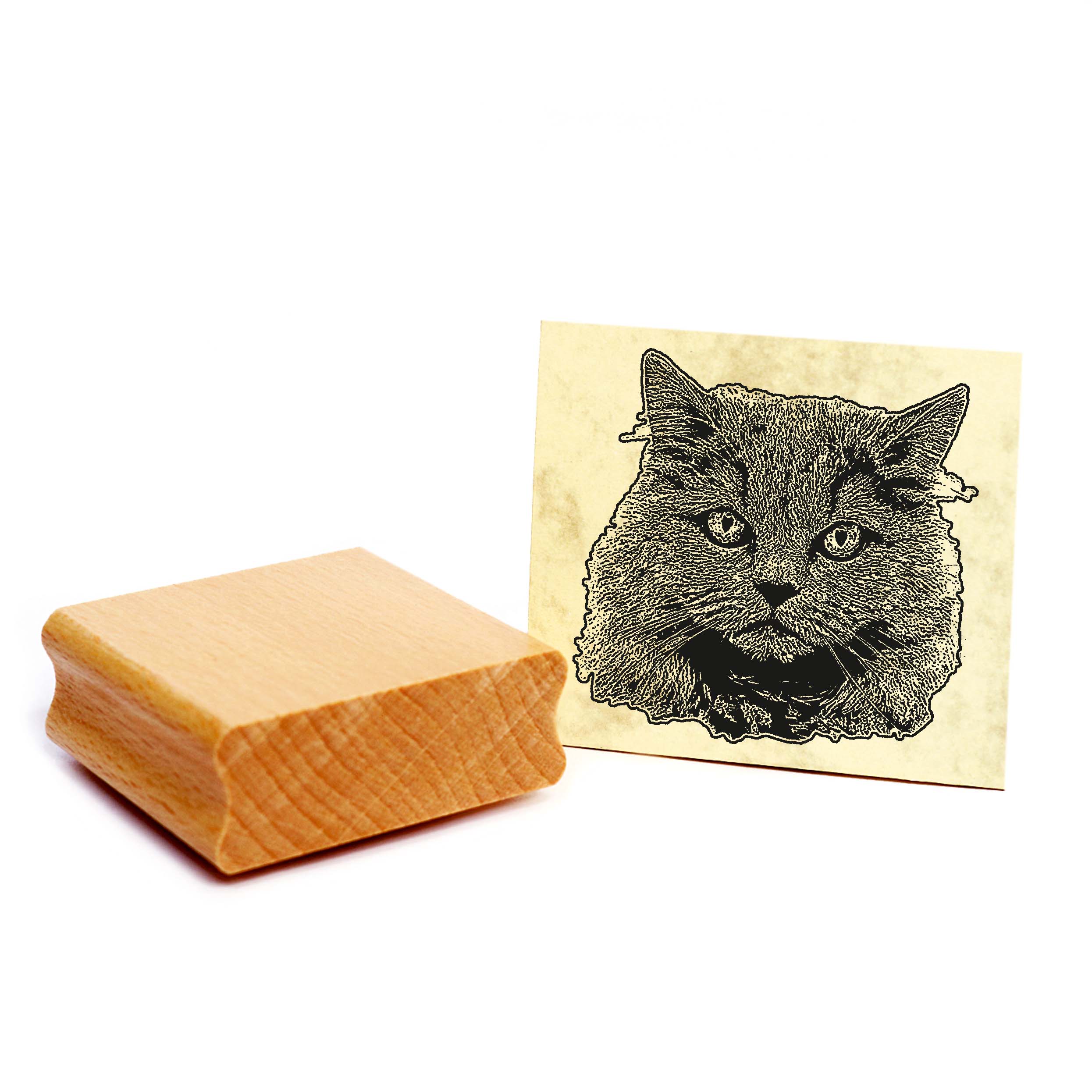 Motivstempel Britisch Langhaar - Stempel Katze Holzstempel ca. 48 x 48 mm