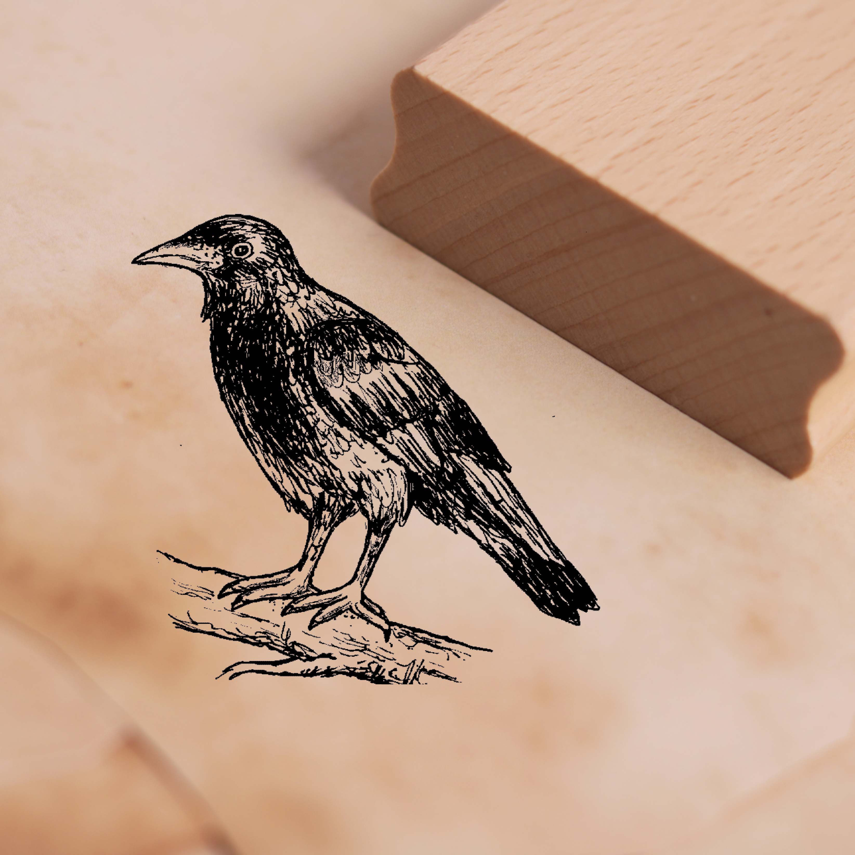 Motivstempel Krähe auf Ast - Vogel Stempel Holzstempel 38 x 38 mm