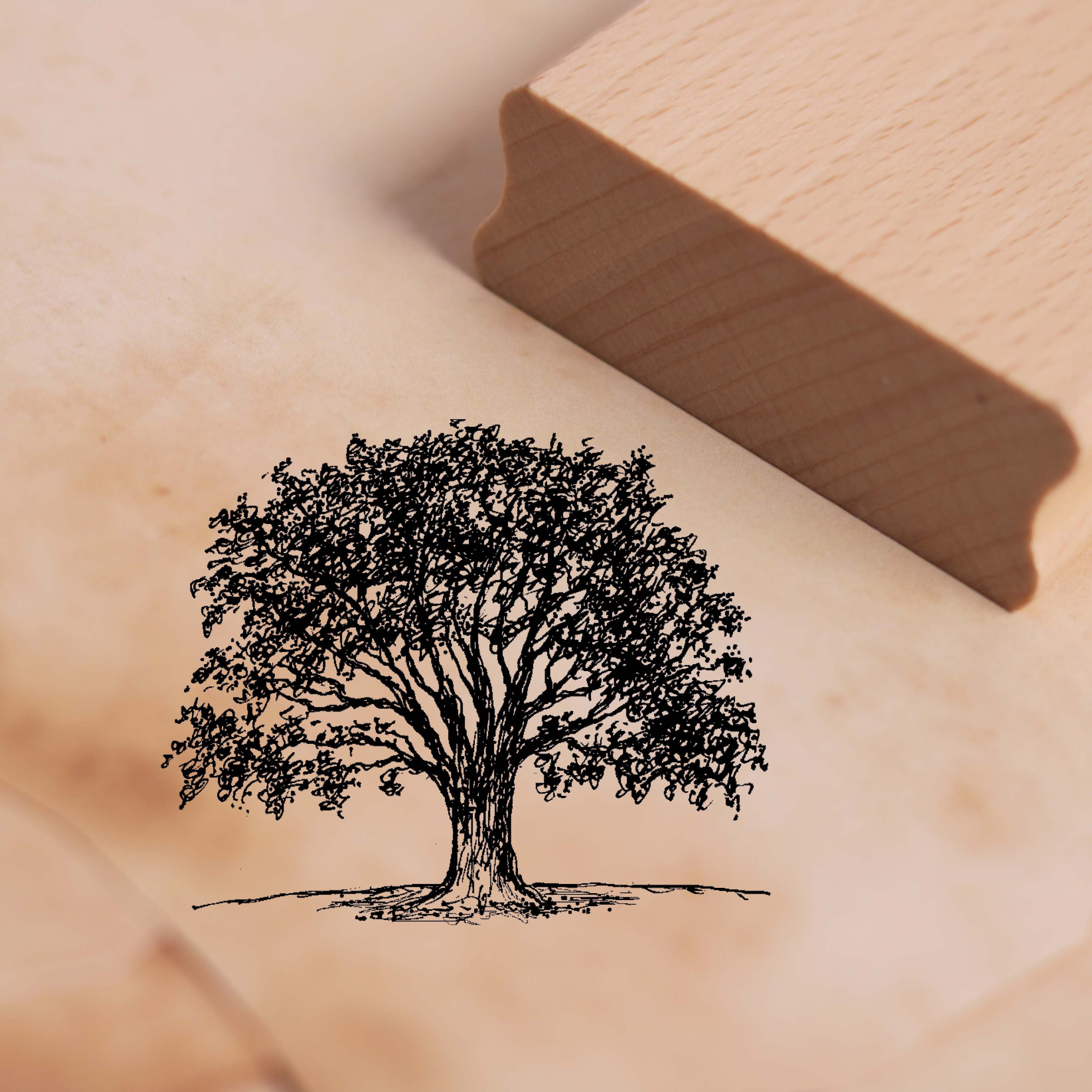 Motivstempel Buche - Stempel Baum Holzstempel 58 x 48 mm