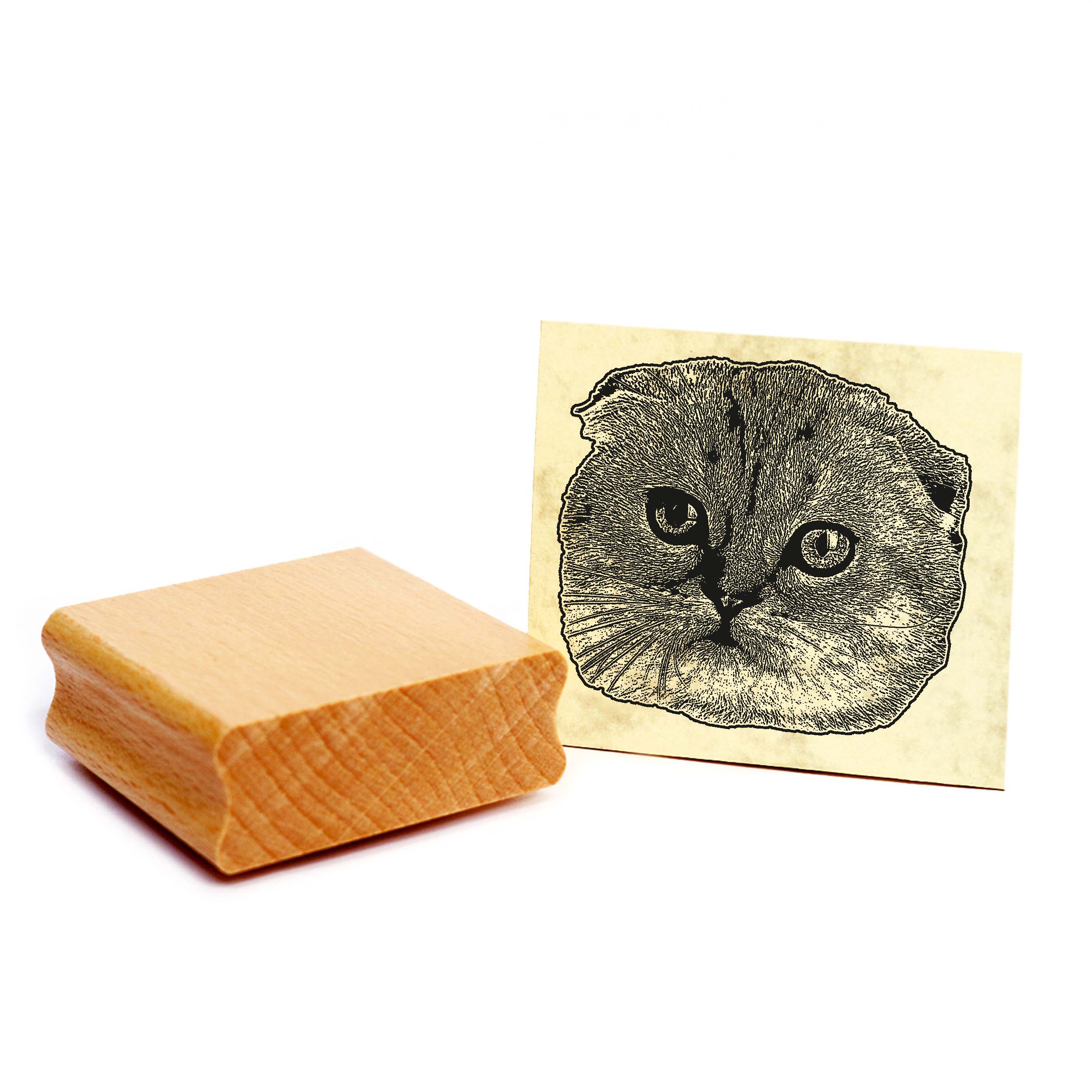 Motivstempel Scottish Fold - Stempel Katze Holzstempel ca. 48 x 48 mm