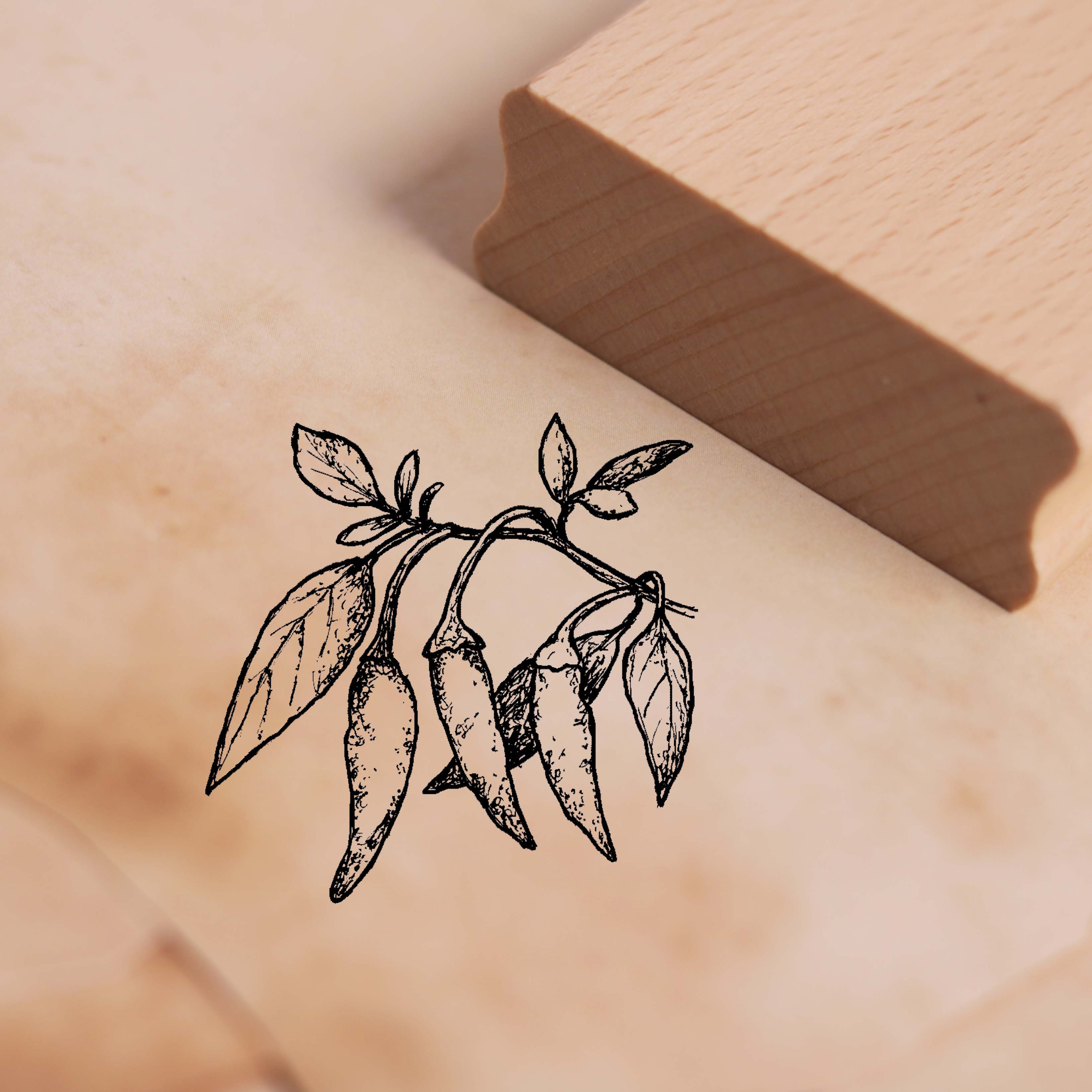 Motivstempel Chili Peperoni - Stempel Holzstempel 38 x 38 mm
