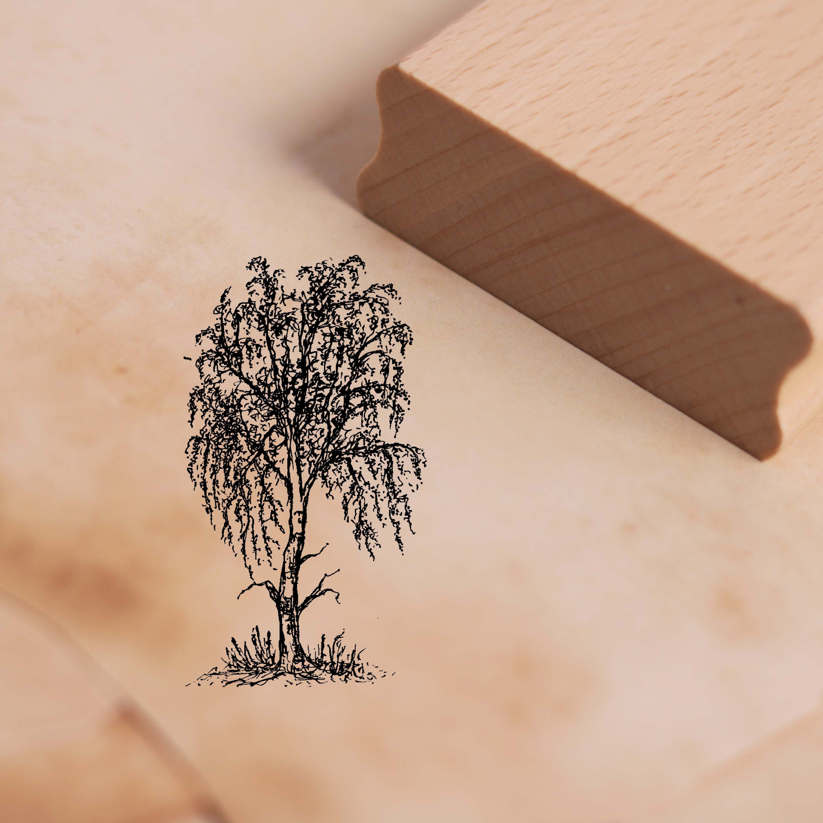 Motivstempel Birke Baum - Stempel Holzstempel 38 x 68 mm