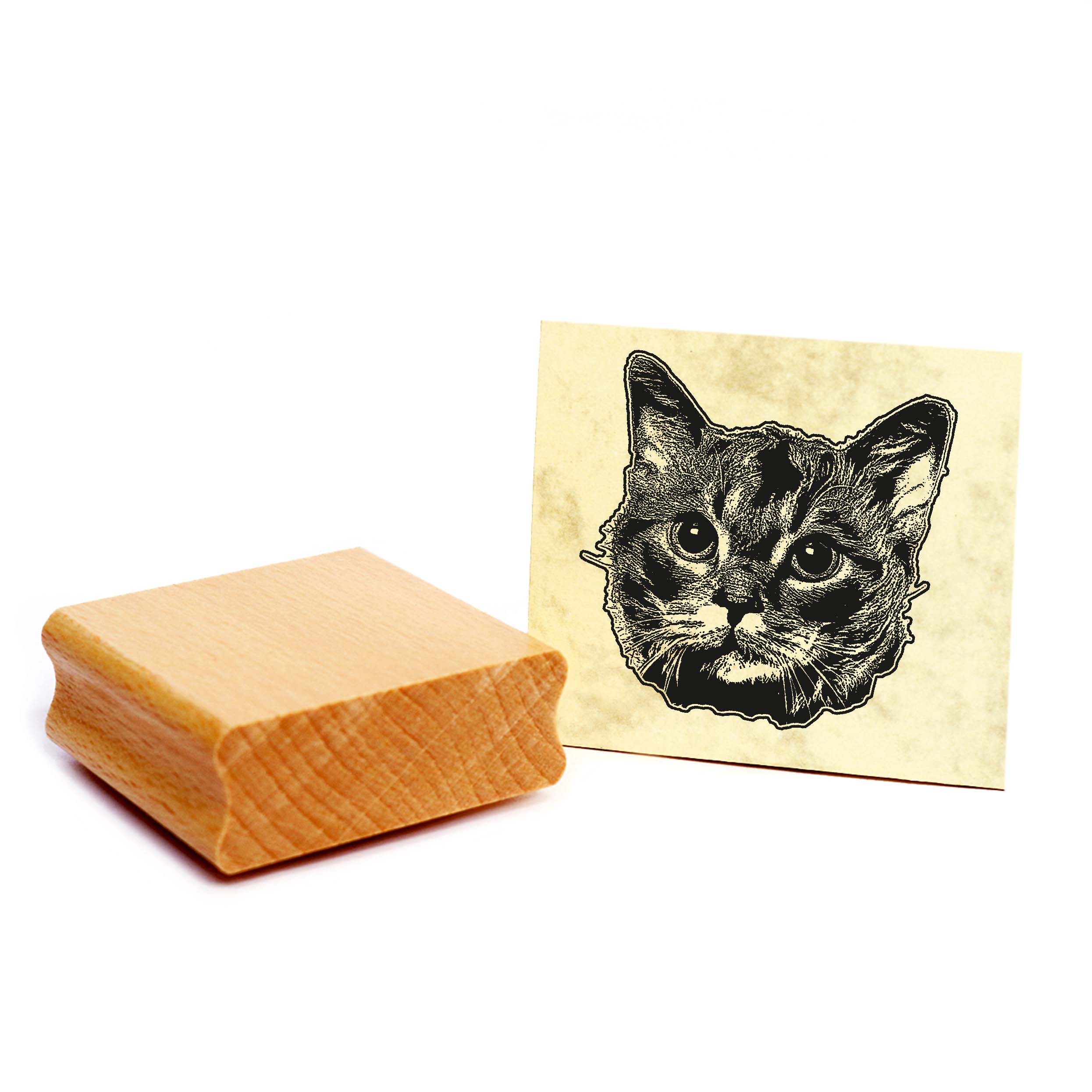 Motivstempel German Rex - Stempel Katze Holzstempel ca. 48 x 48 mm
