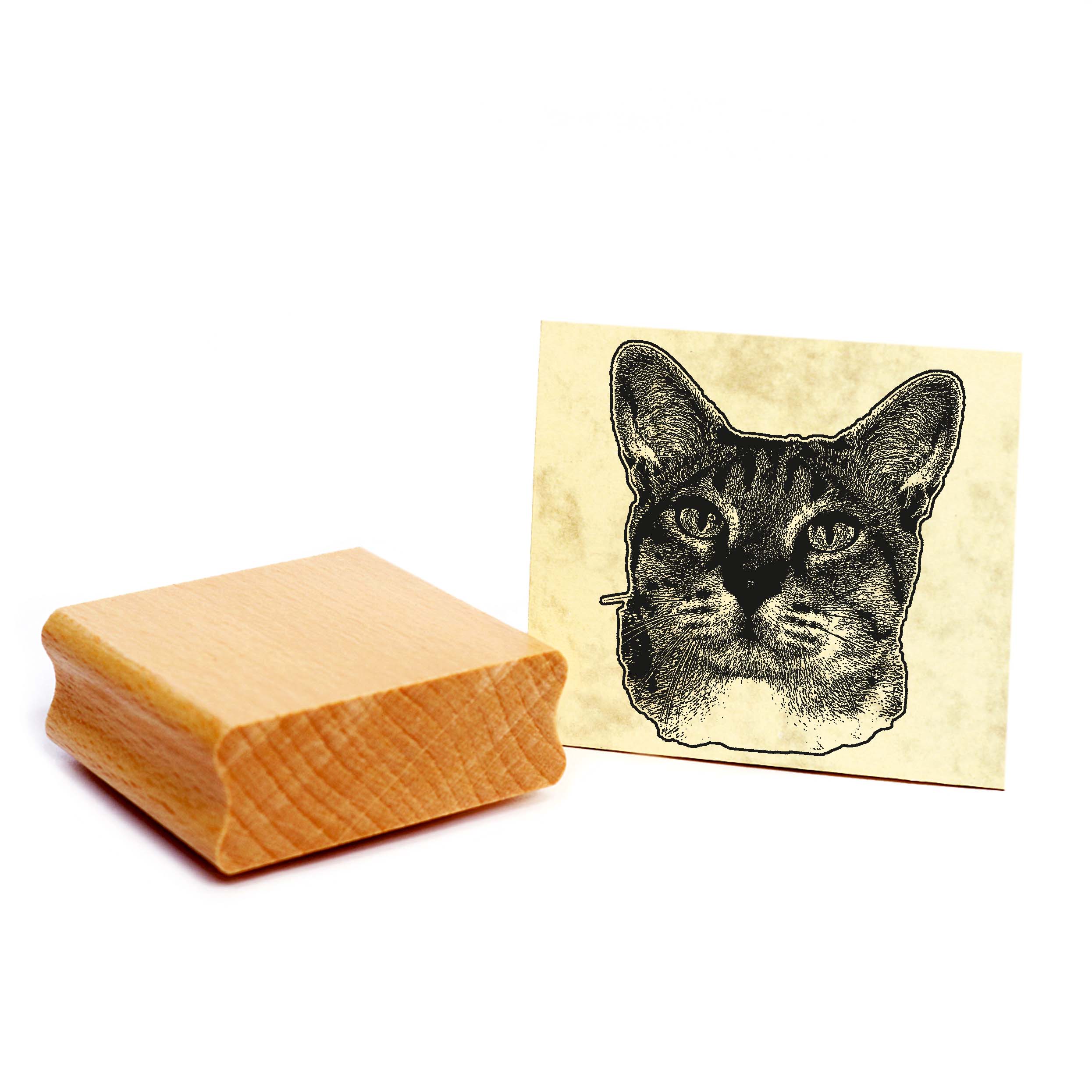 Motivstempel Australian Mist - Stempel Katze Holzstempel ca. 48 x 48 mm