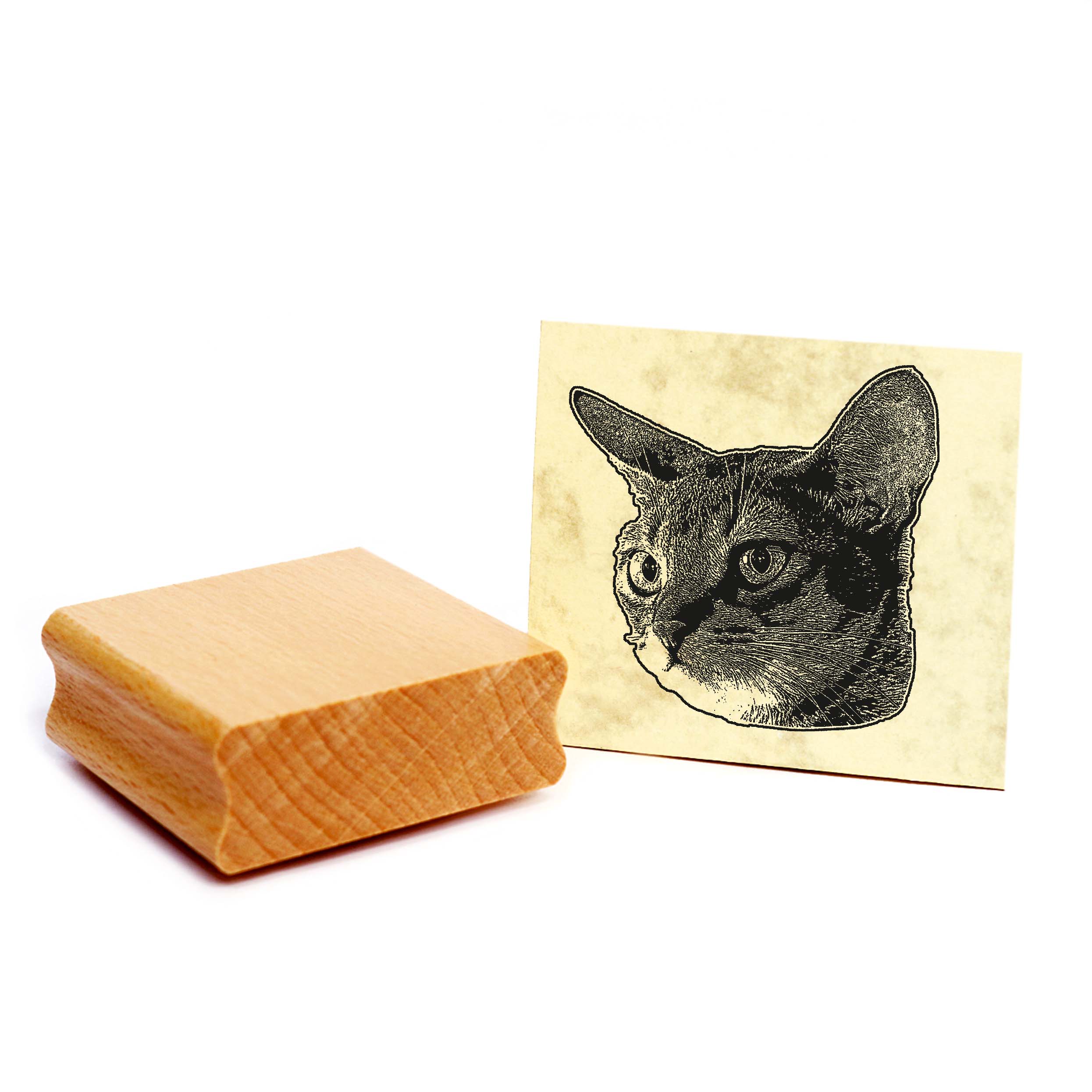 Motivstempel Abessiner - Stempel Katze Holzstempel ca. 48 x 48 mm