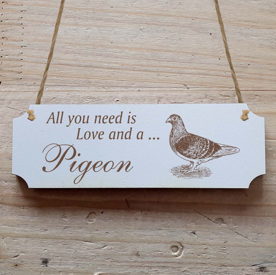 Dekoschild « All you need is Love and a Pigeon » Taube 2