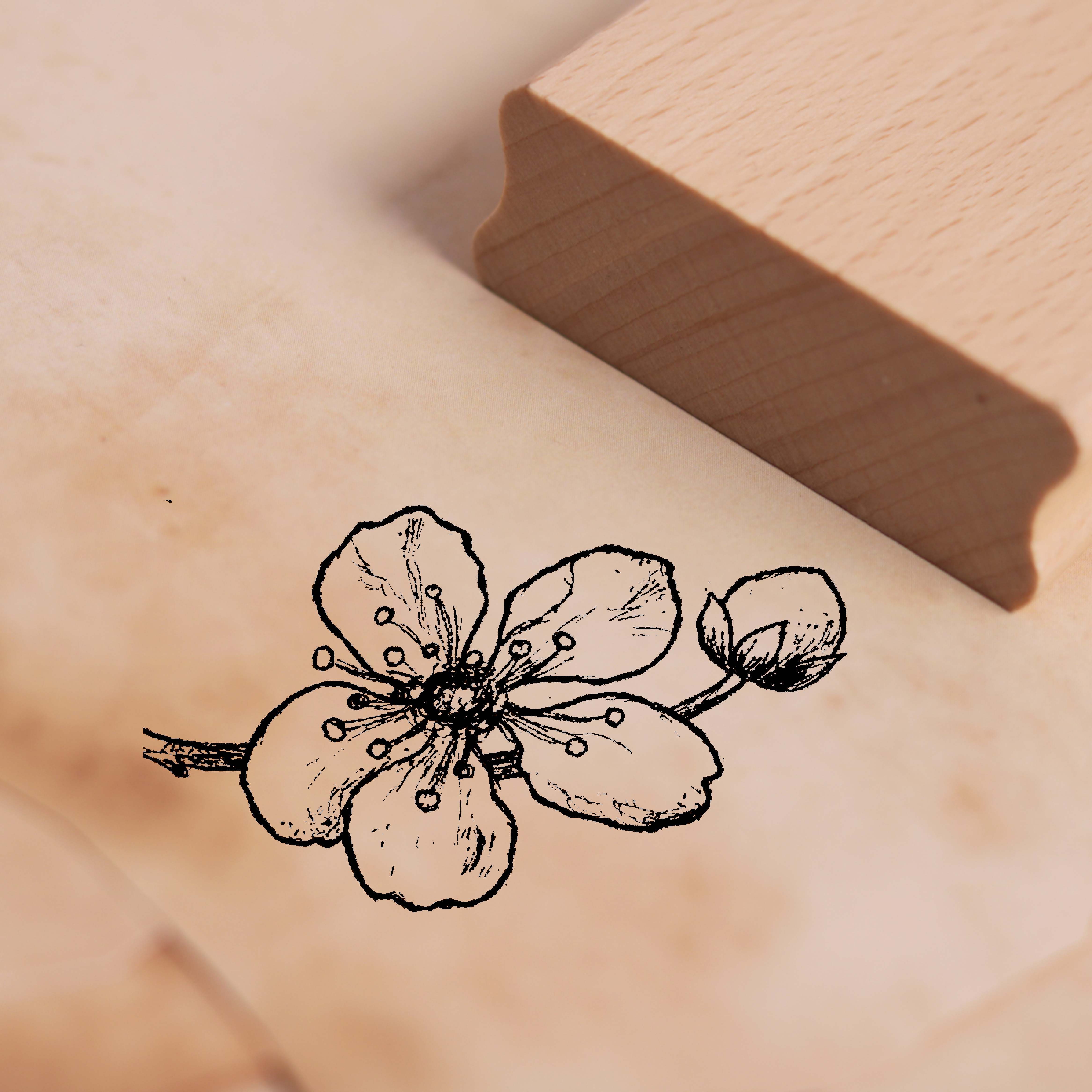 Motivstempel Kirschblüte Stempel Blüte 48 x 28 mm