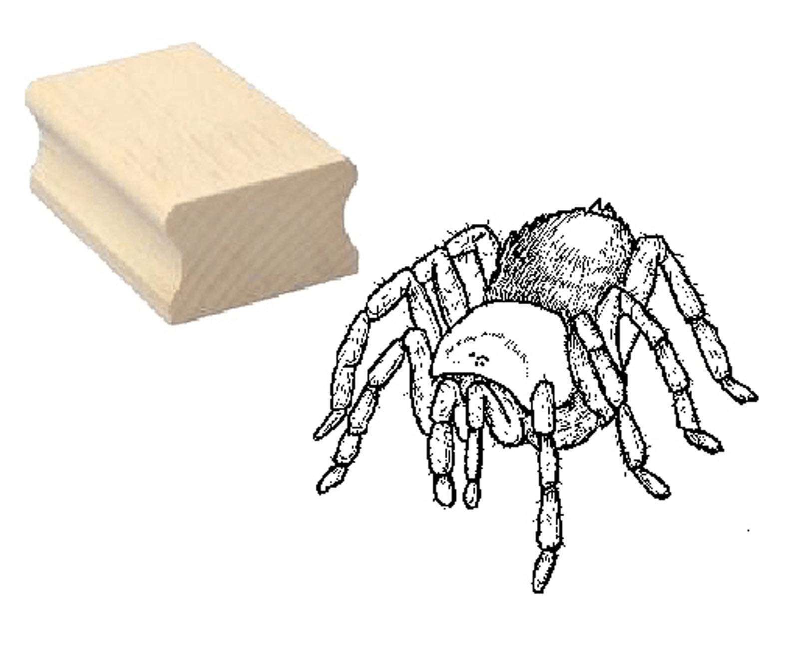 Motivstempel « Vogelspinne »