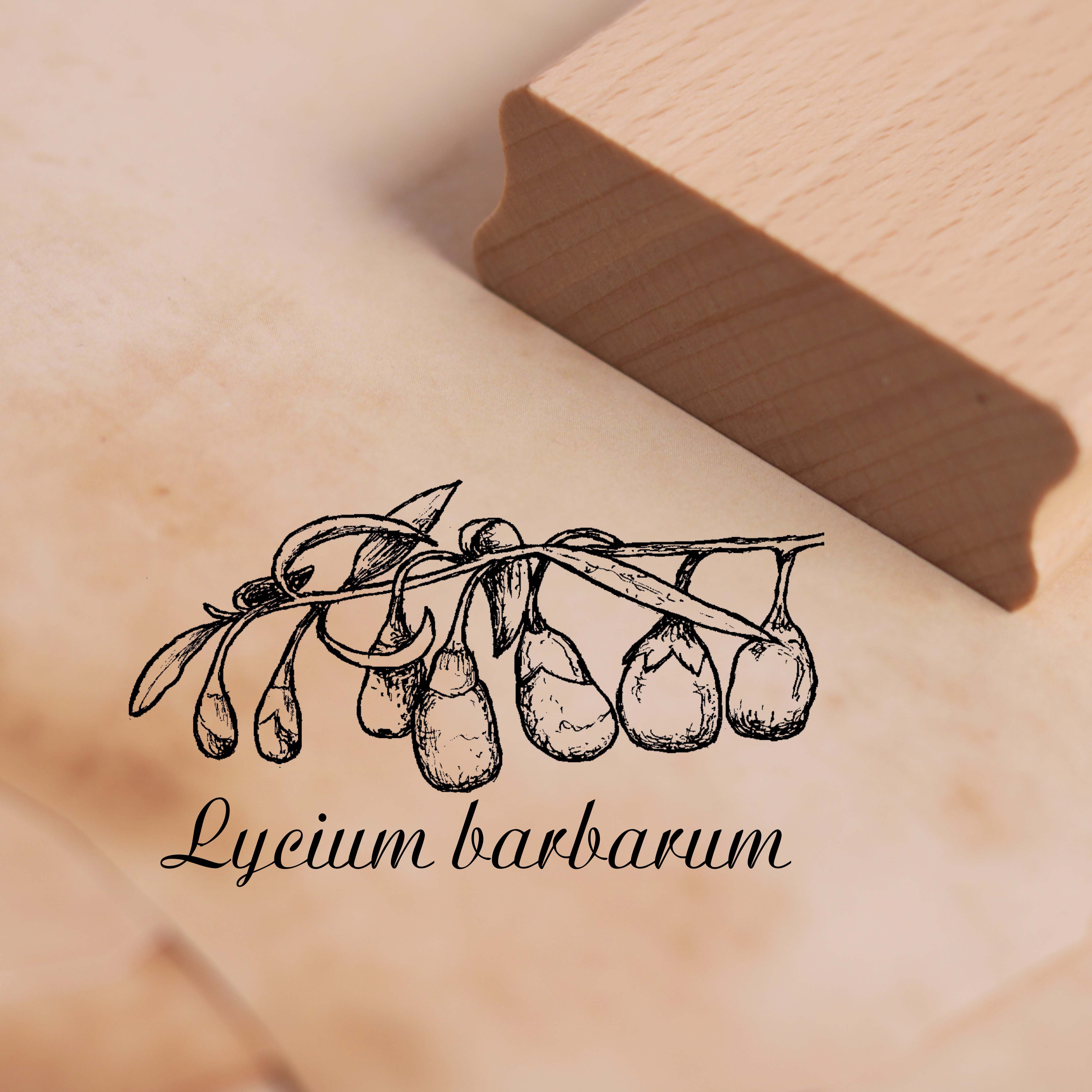 Motivstempel Goji-Beere - Lycium barbarum - Stempel 48 x 28 mm