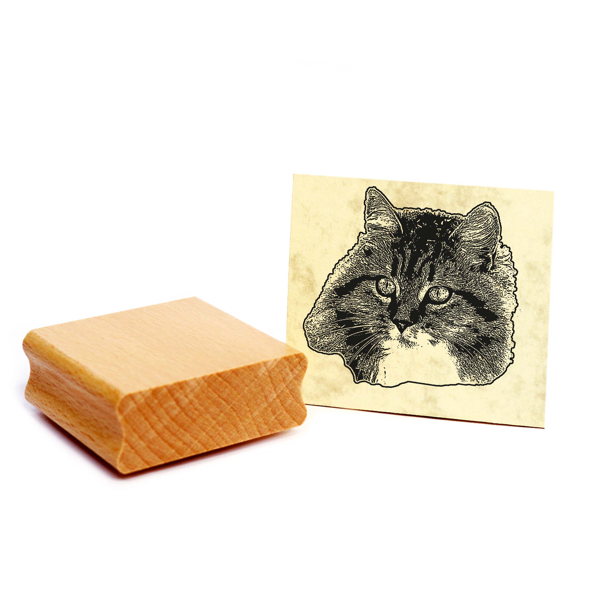 Motivstempel Sibirische Katze - Stempel Katze Holzstempel ca. 48 x 48 mm