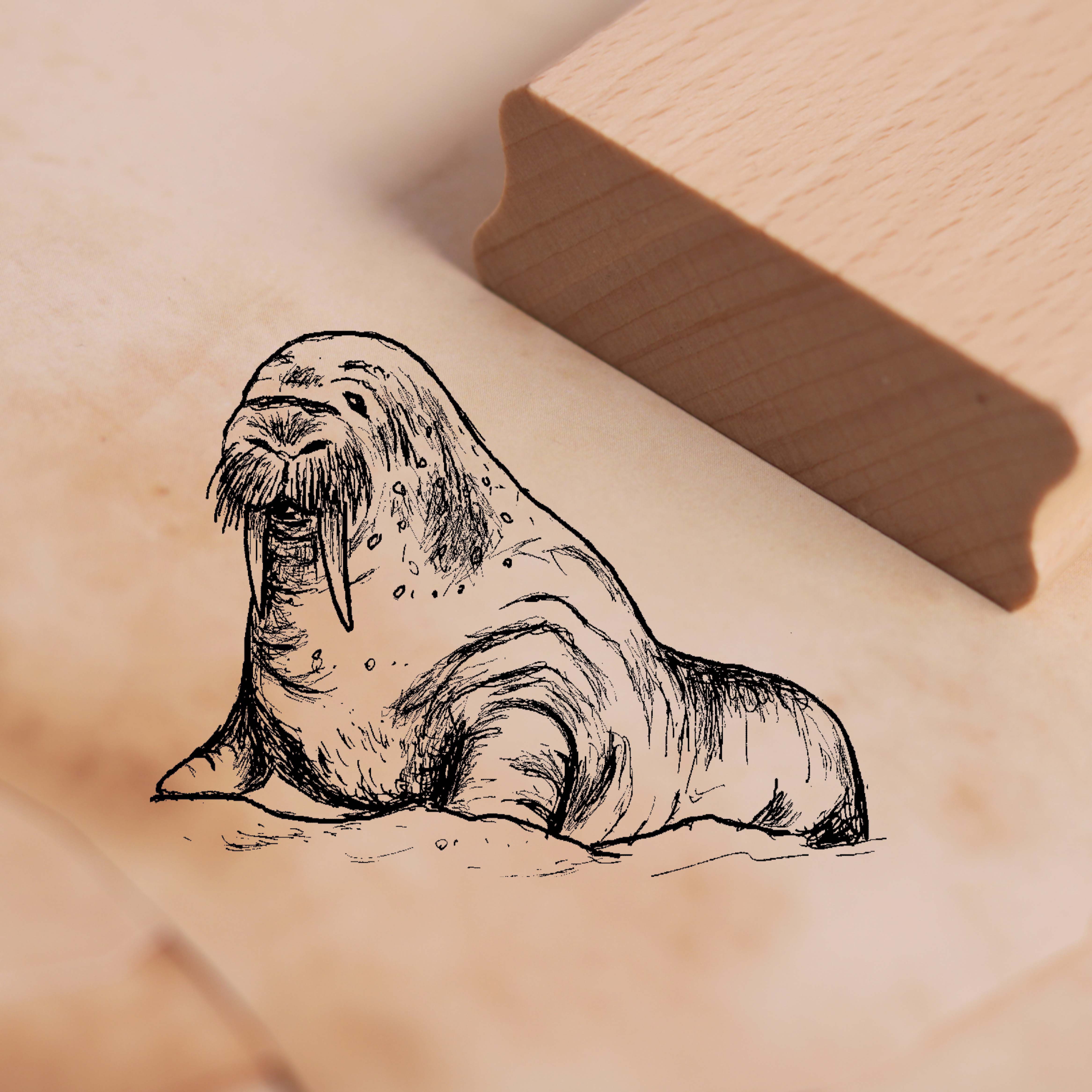 Motivstempel Walross Stempel 48 x 36 mm