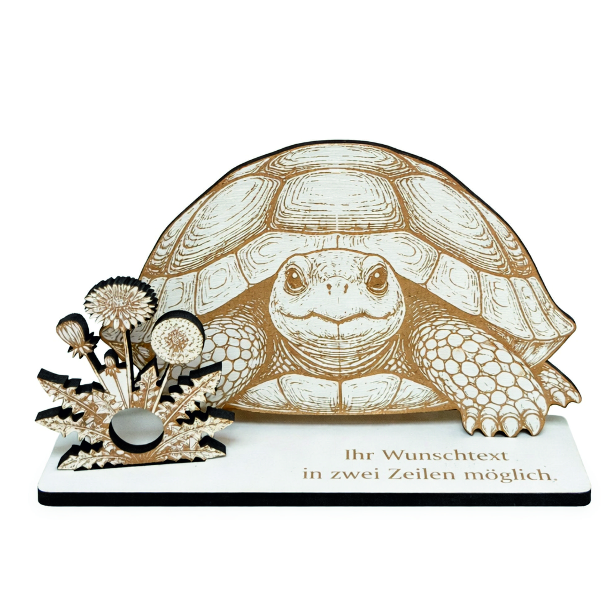 Geldgeschenk Schildkröte - personalisiert mit Wunschtext - Schild für Geld Gutschein - 14 x 9,5 cm