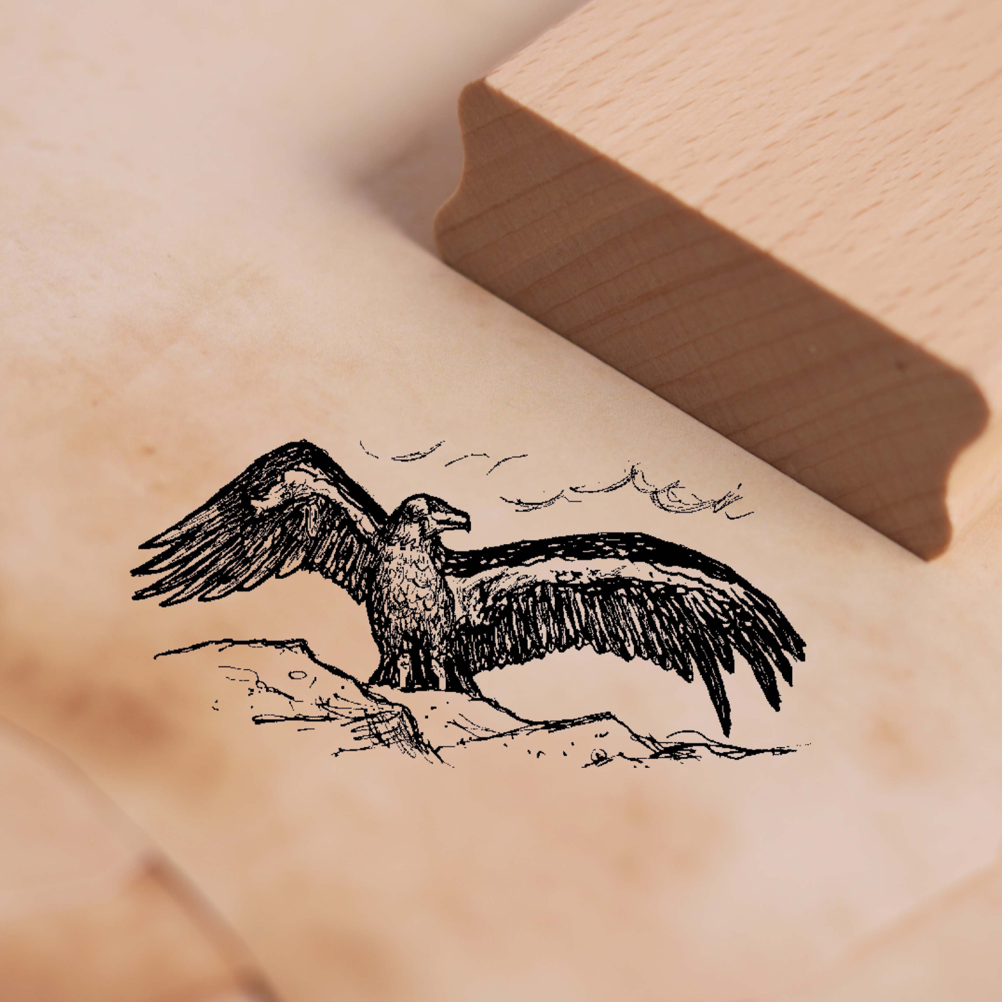 Motivstempel Kondor will fliegen - Stempel Andenkondor Holzstempel 58 x 28 mm