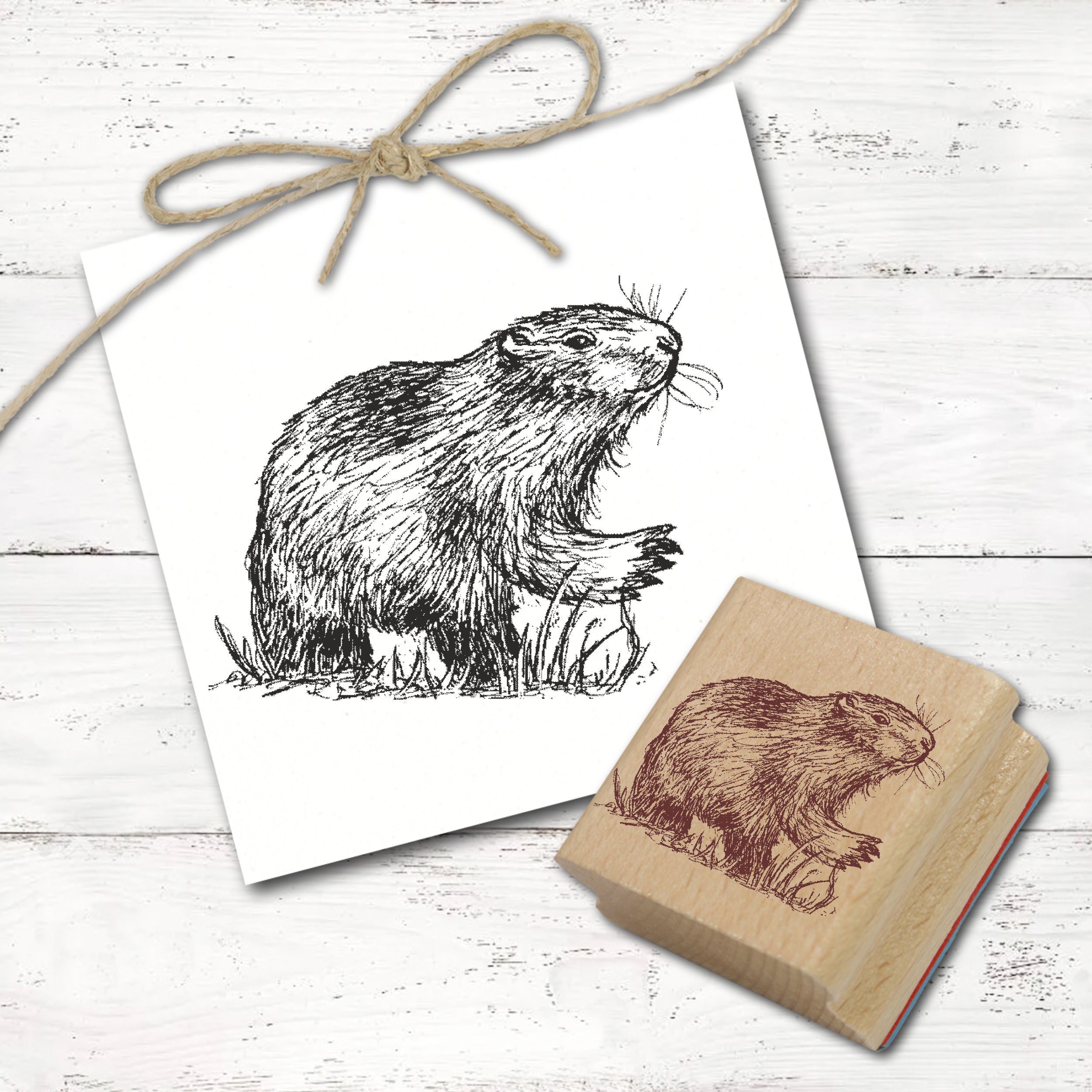 Motivstempel Murmeltier - Stempel Holzstempel 58 mm x 48 mm