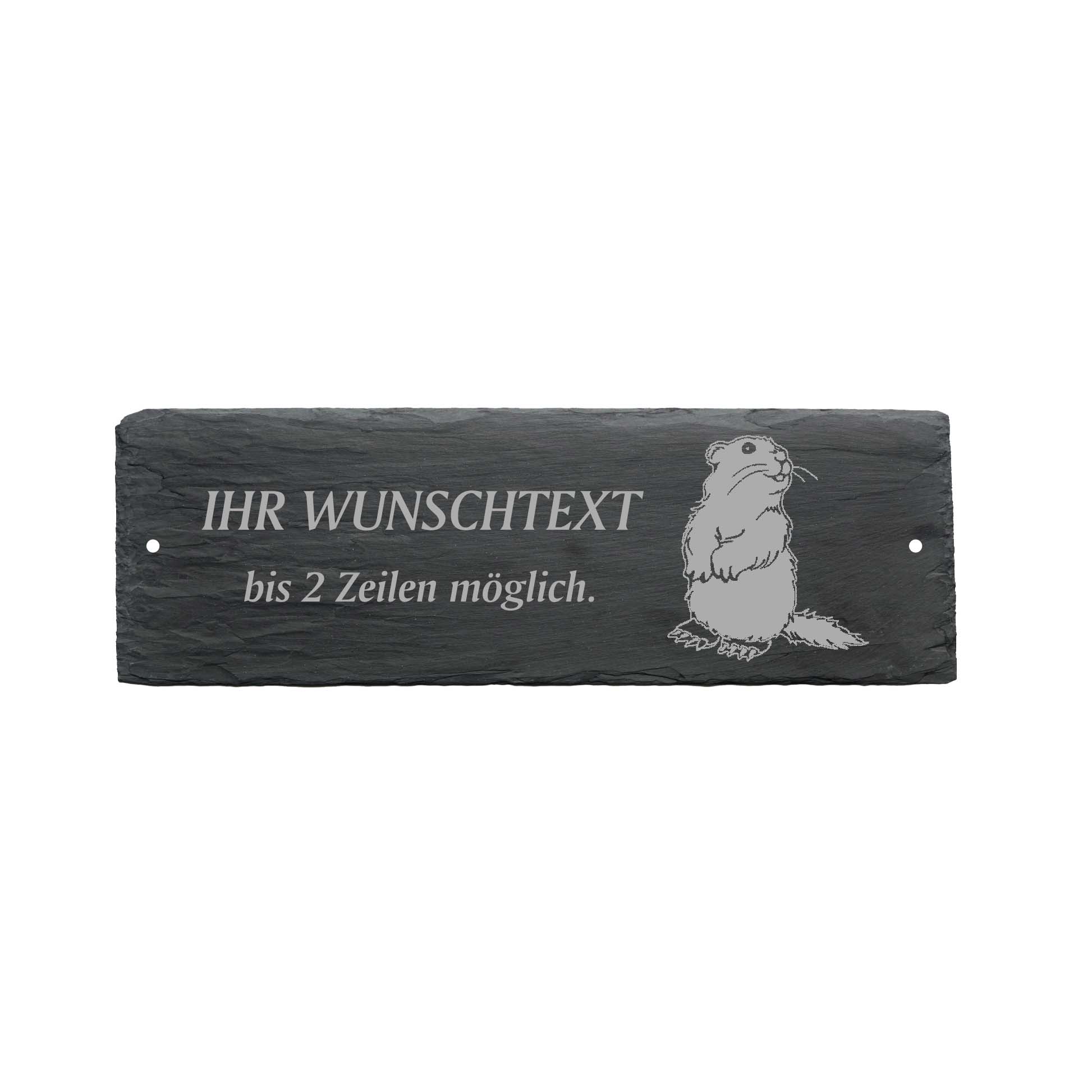 Türschild « BIBER » ca. 22 x 8 cm - aus Schiefer