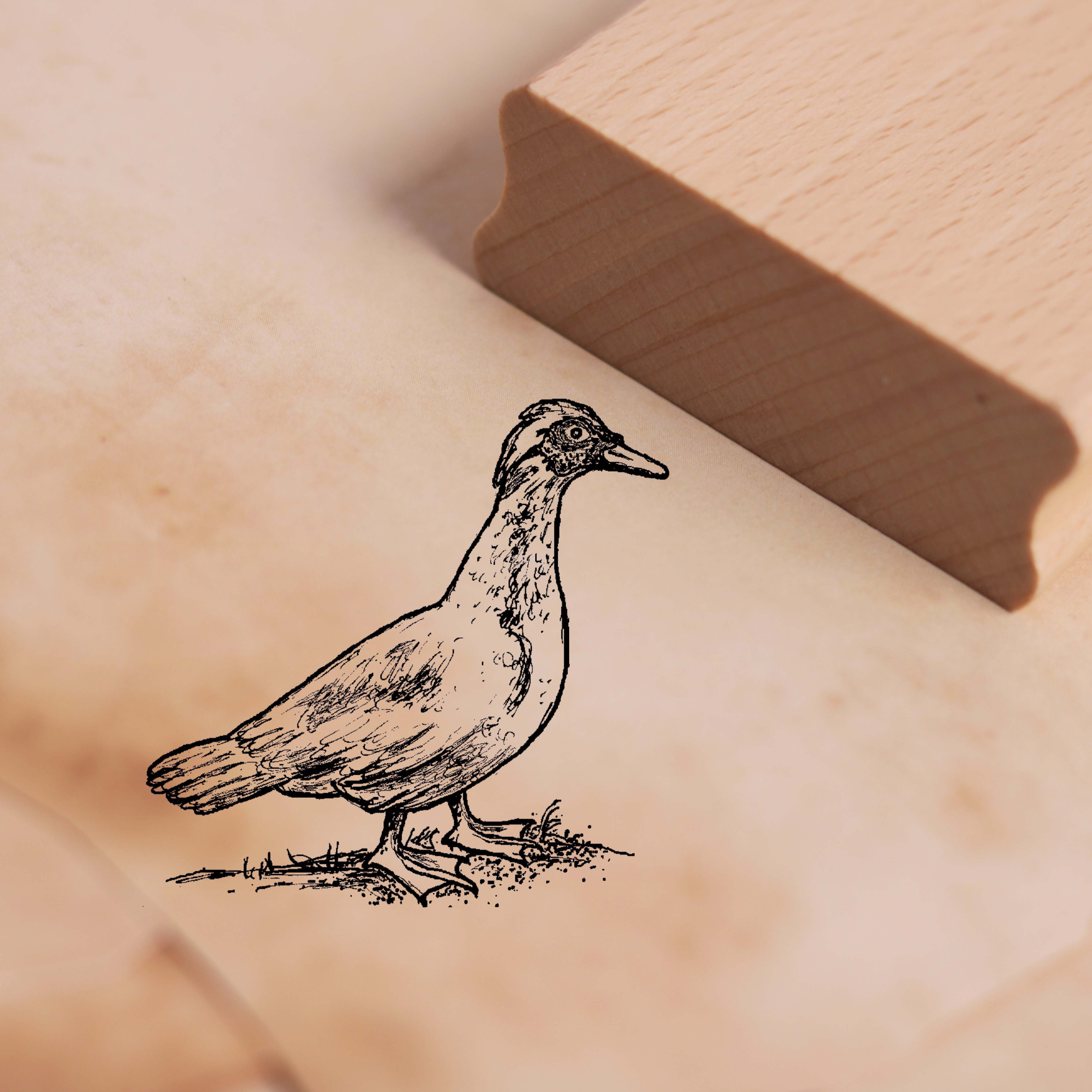 Motivstempel Flugente Stempel Ente 48 x 46 mm