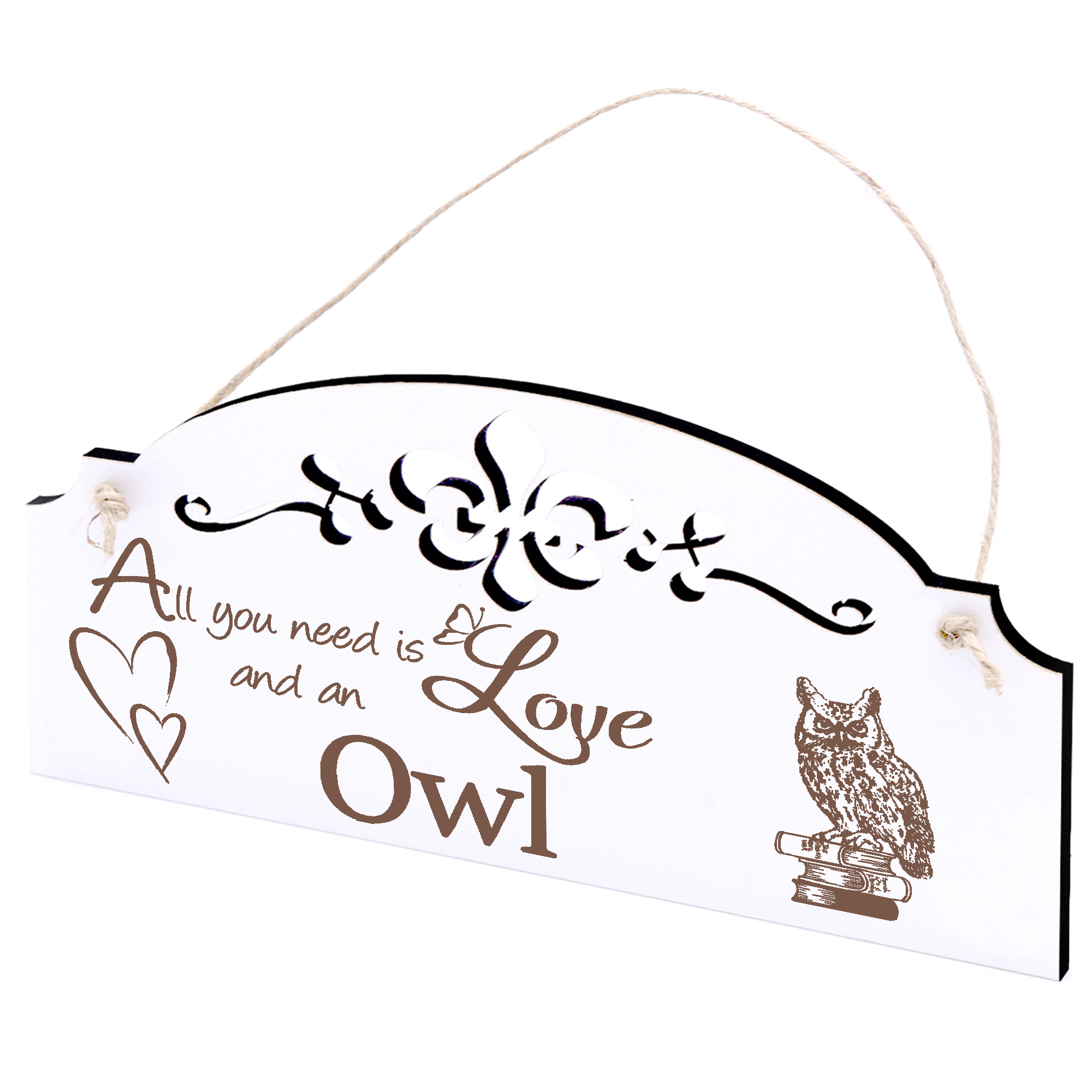 Schild Eule auf Buch Deko 20x10cm - All you need is Love and an Owl - Holz