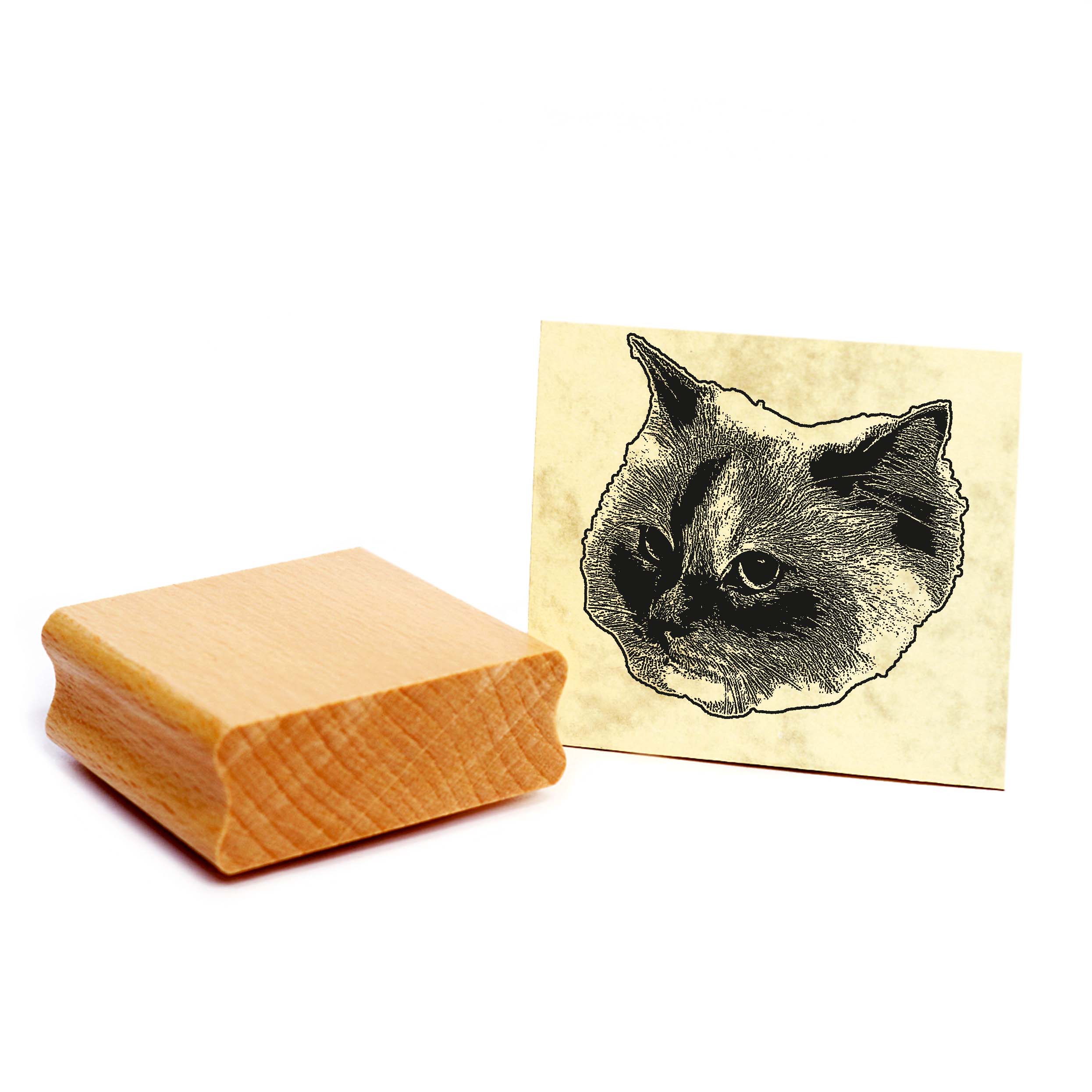 Motivstempel Heilige Birma-Katze - Stempel Katze Holzstempel ca. 48 x 48 mm