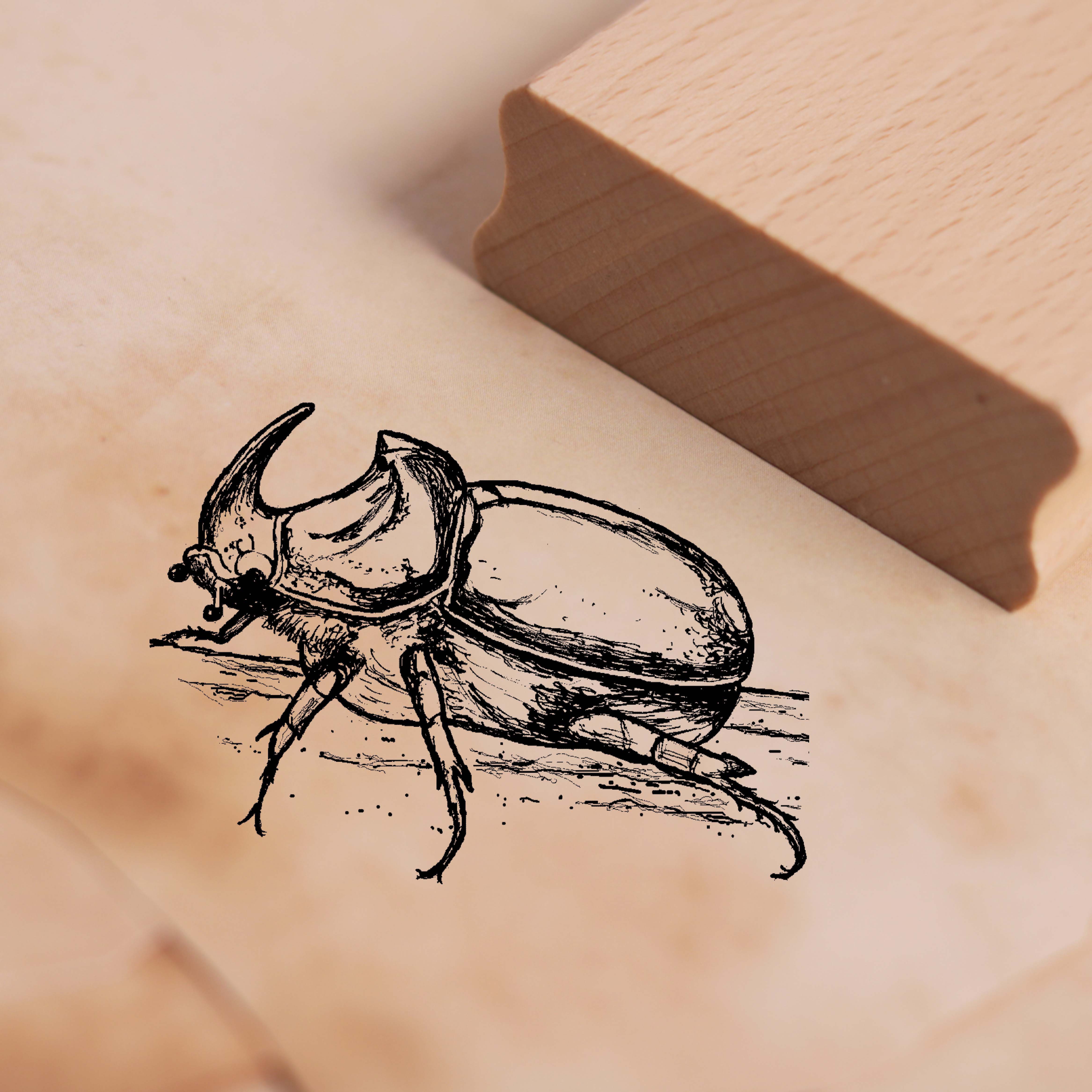 Motivstempel Nashornkäfer - Stempel Käfer Insekt 38 x 28 mm