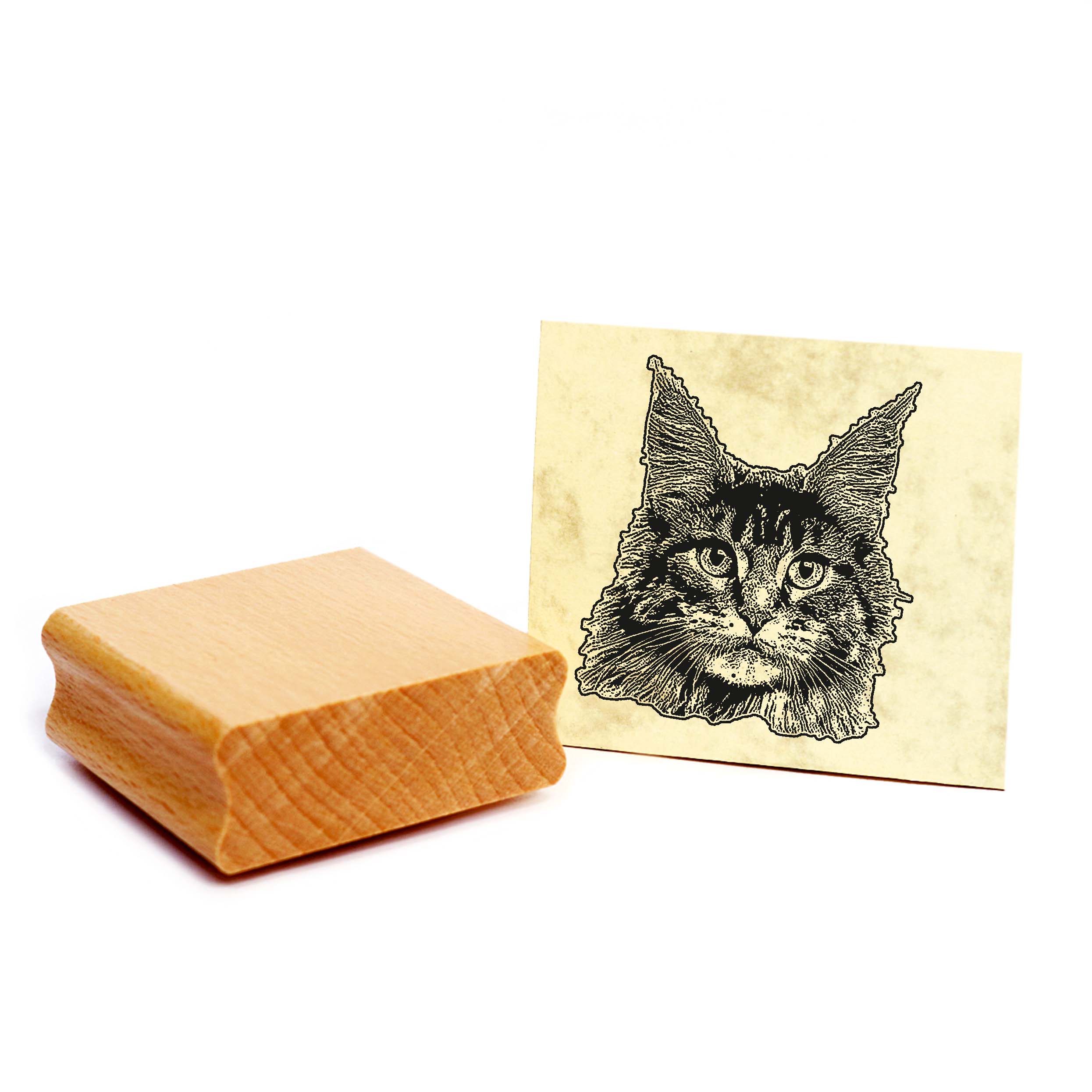 Motivstempel Maine Coon - Stempel Katze Holzstempel ca. 48 x 48 mm