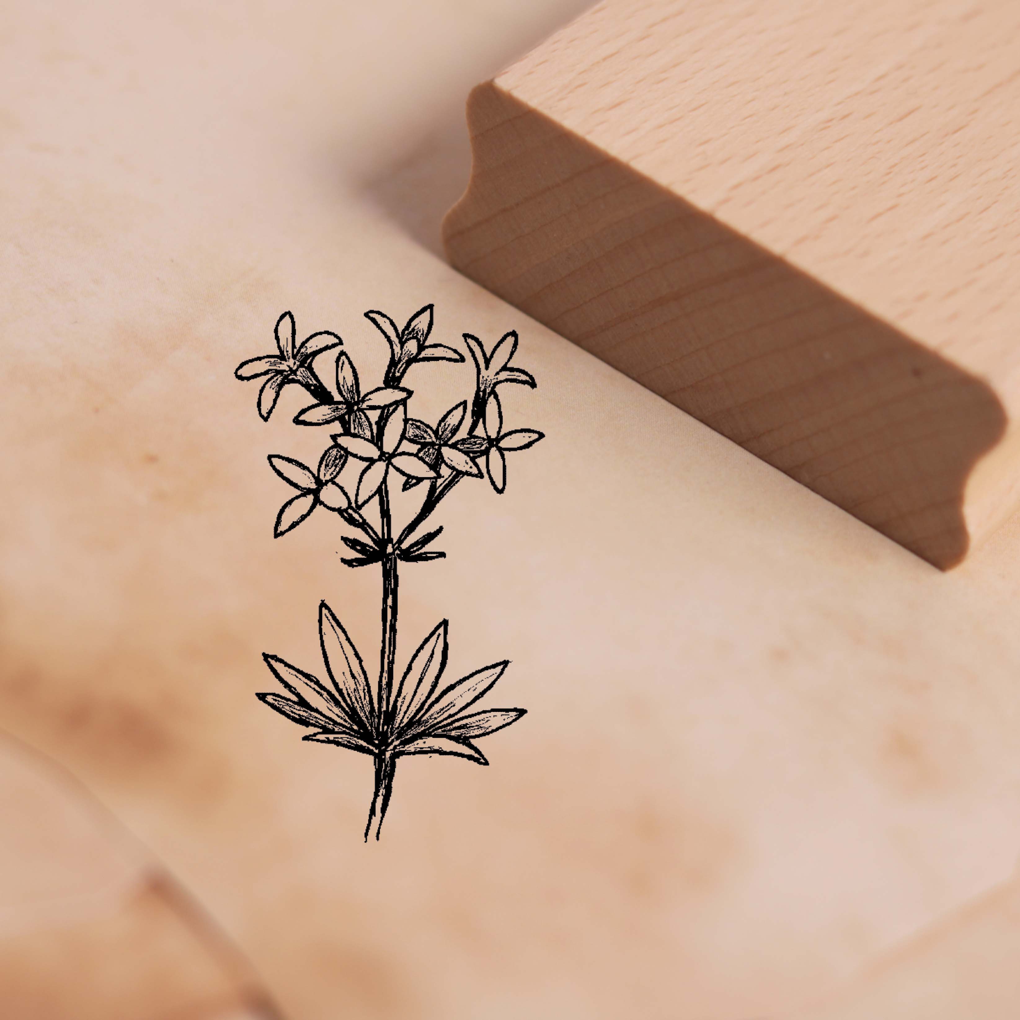 Motivstempel Waldmeister Pflanze - Stempel Holzstempel 28 x 48 mm