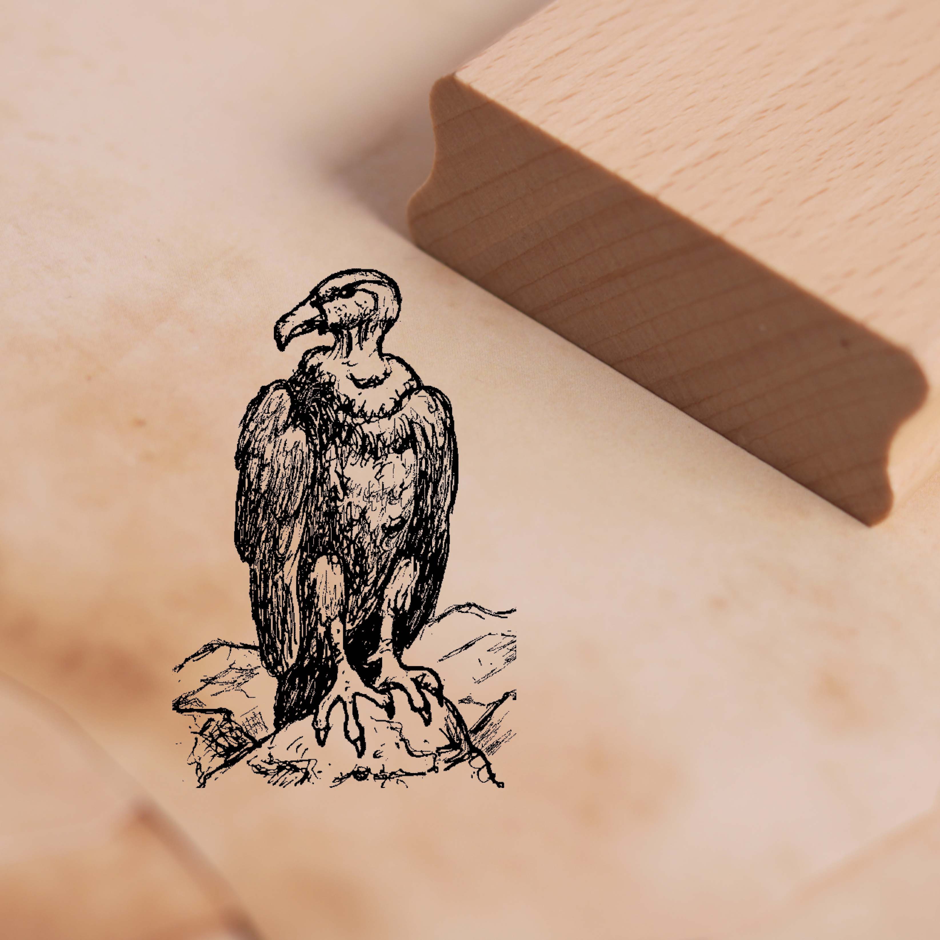 Motivstempel Kondor sitzt auf Stein - Stempel Andenkondor Holzstempel 38 x 58 mm