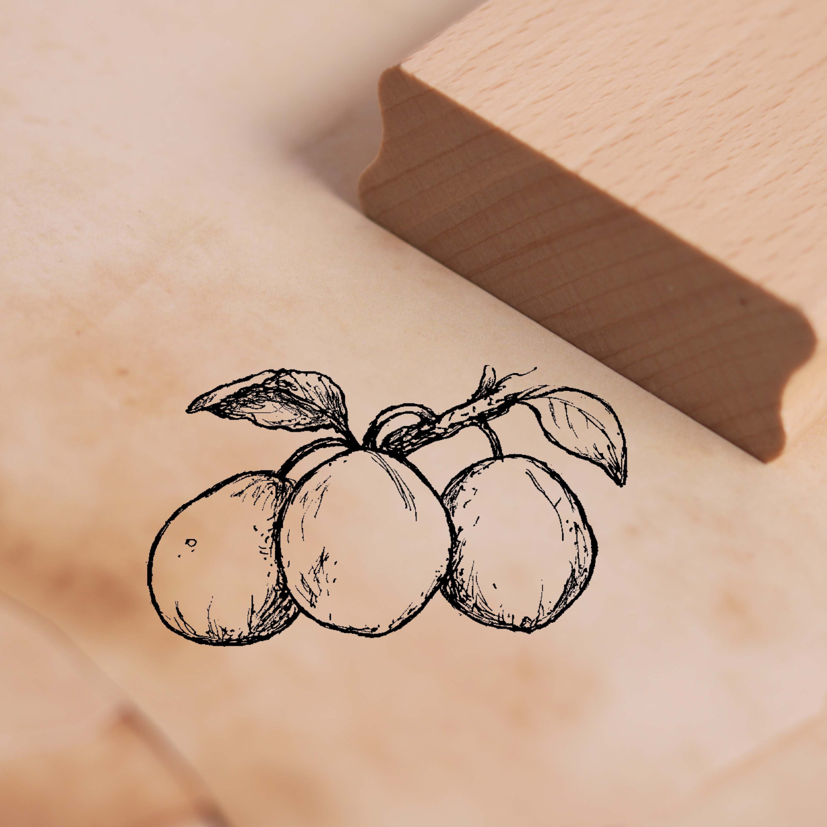 Motivstempel Zwetschgen - Stempel Holzstempel 48 x 28 mm