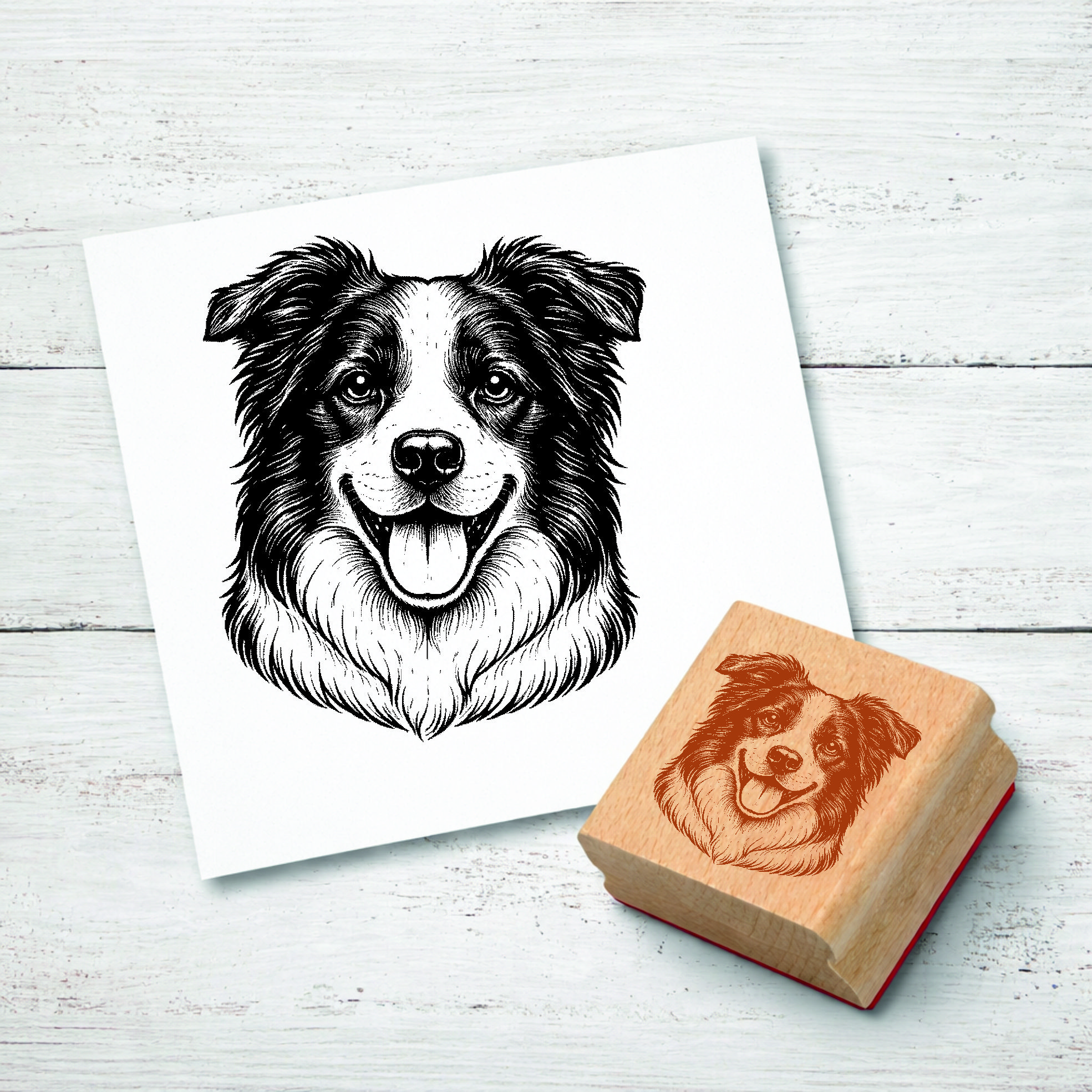 Motivstempel Border Collie Hund - Stempel mit Hundemotiv - Holzstempel Abdruck 48 x 42 mm