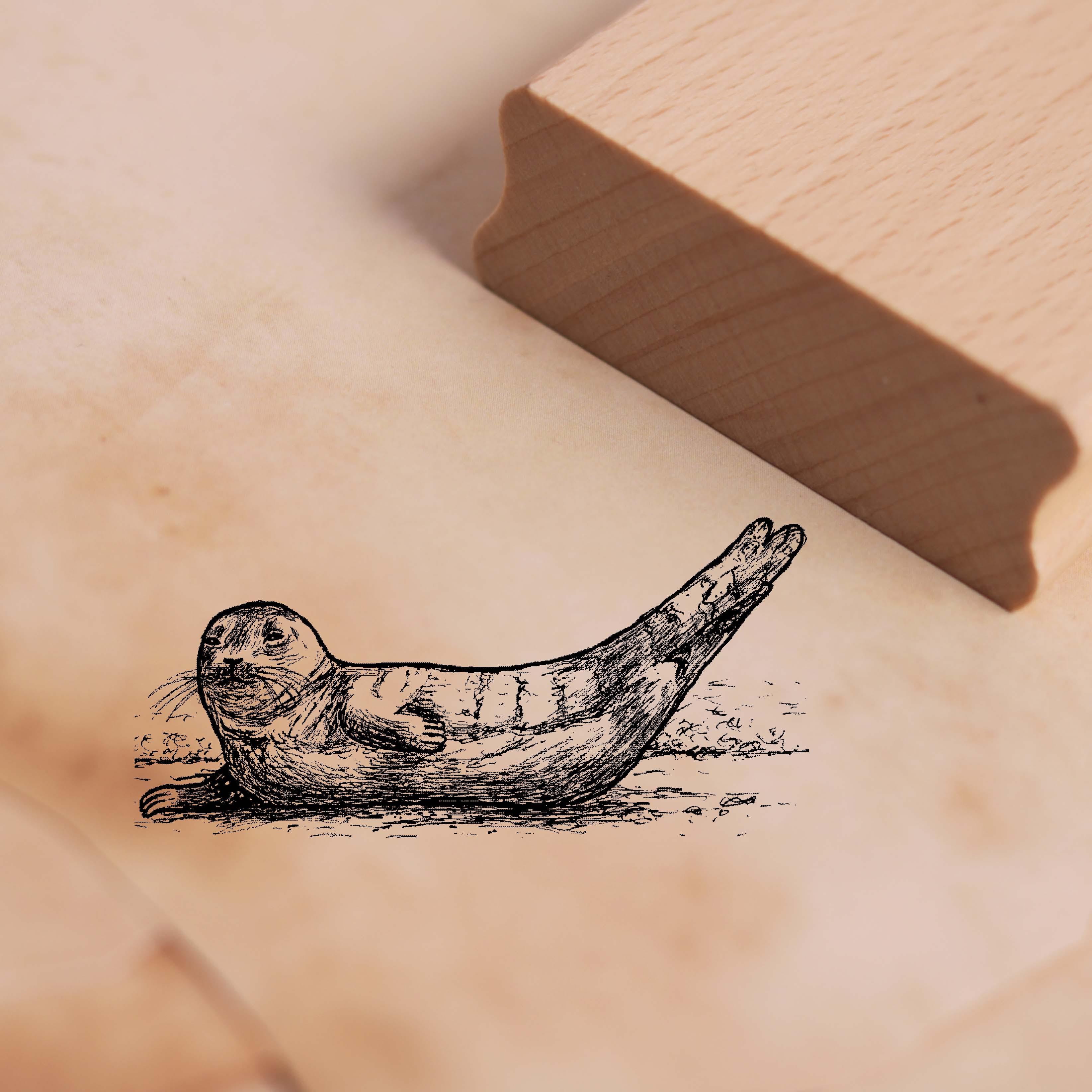 Motivstempel Seelöwe - Stempel 58 x 28 mm