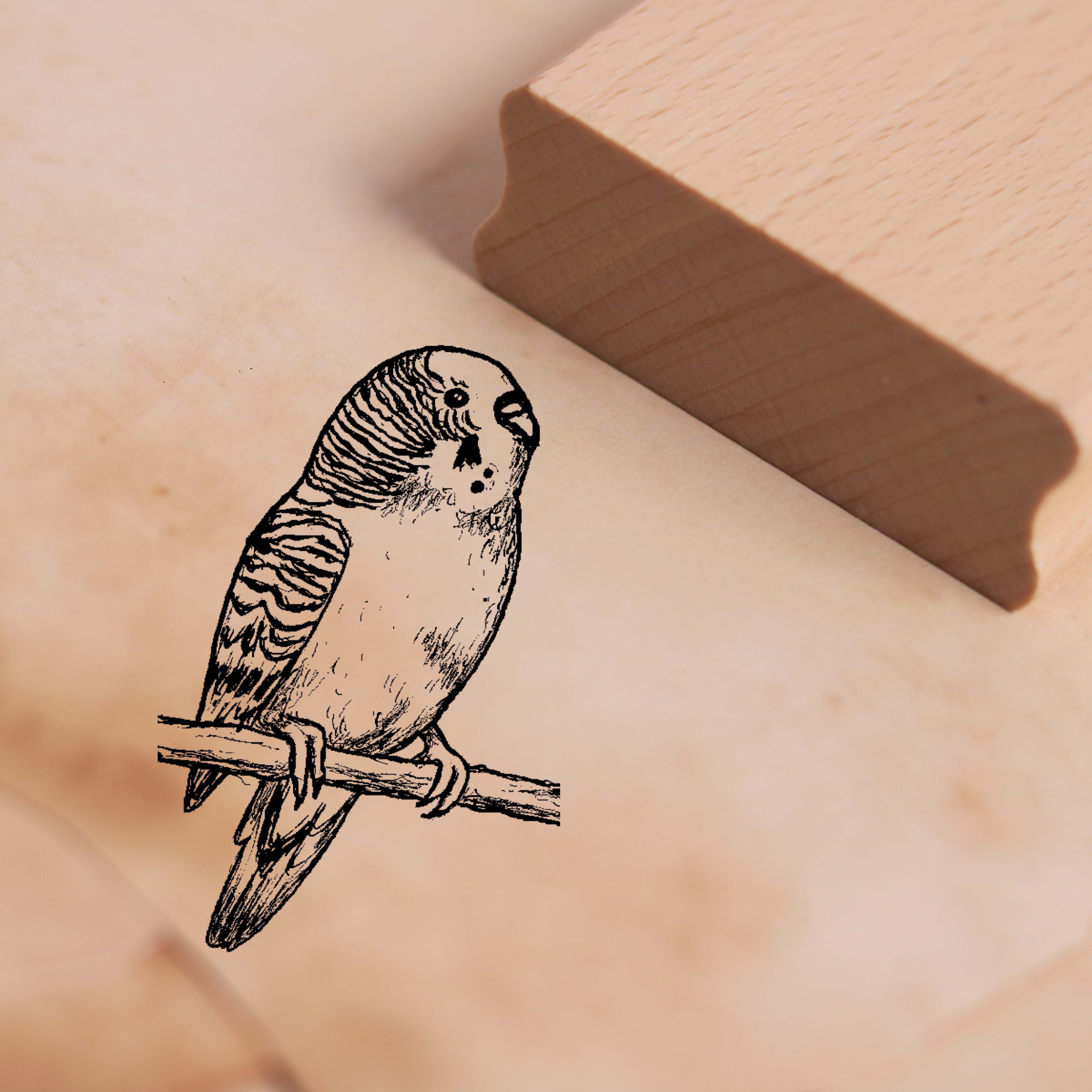 Motivstempel Kleiner Wellensittich Stempel 38 x 58 mm