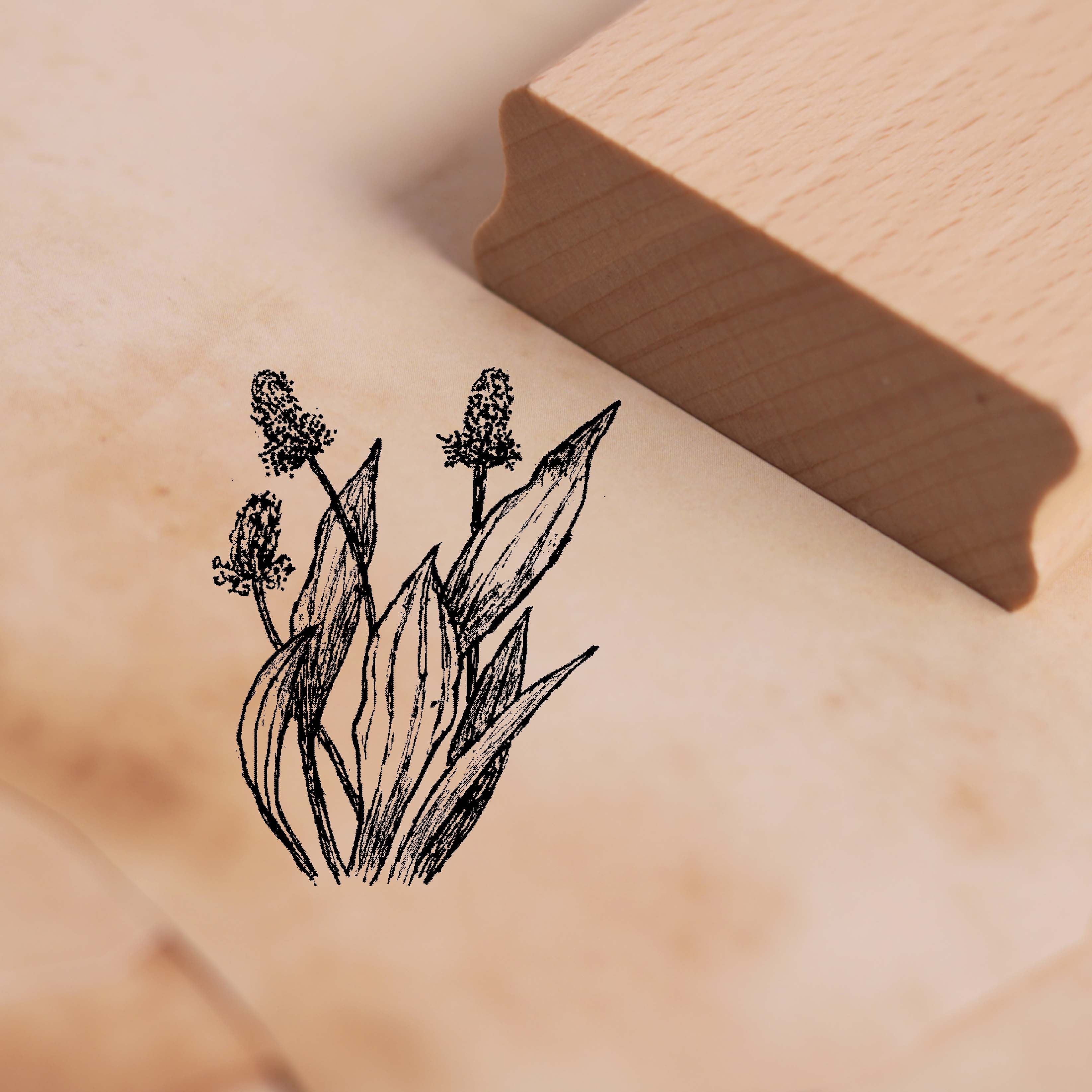 Motivstempel Spitzwegerich - Stempel Holzstempel 38 x 48 mm  