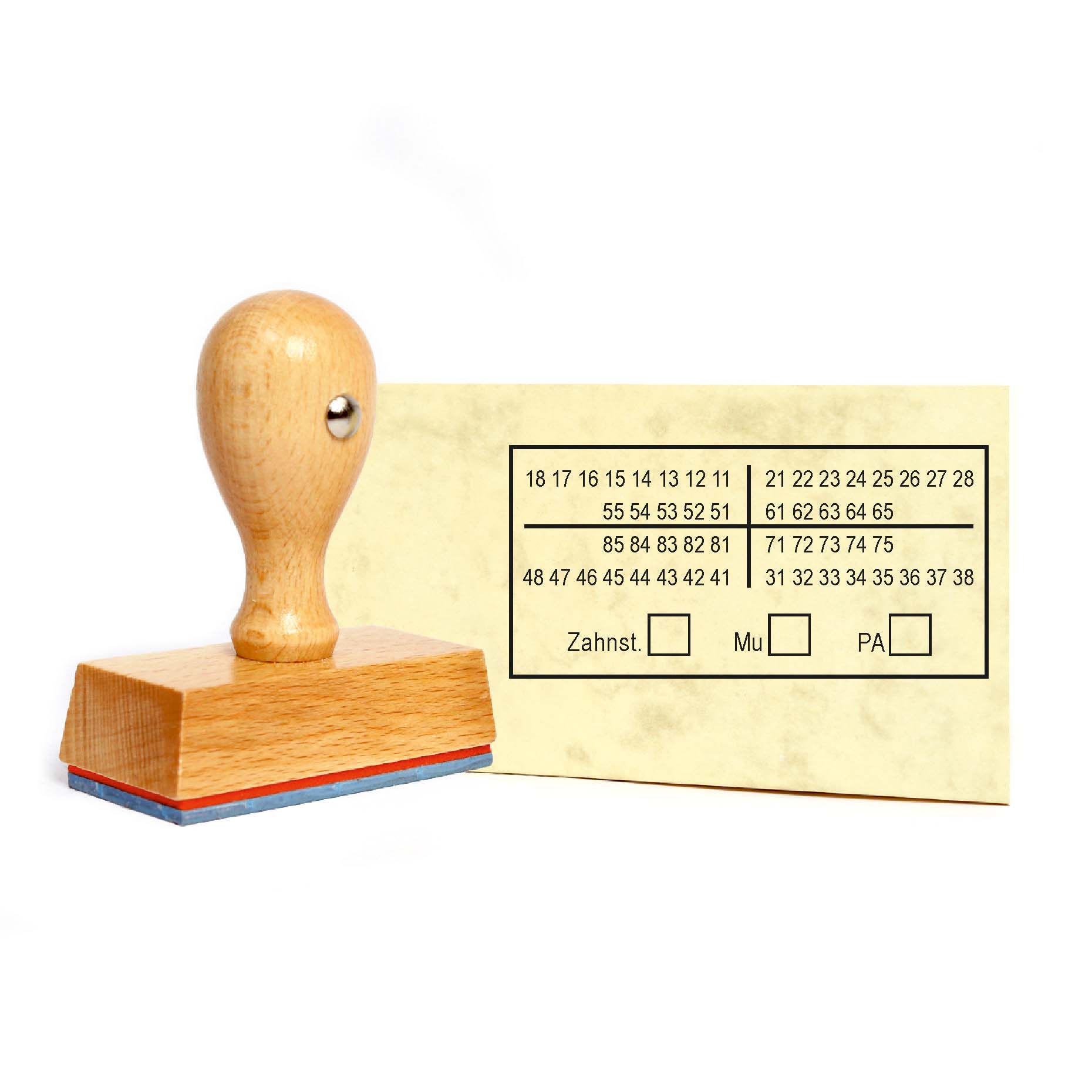 Stempel Zahnschema Z01 - Holzstempel 60 x 30 mm - Zahnarzt