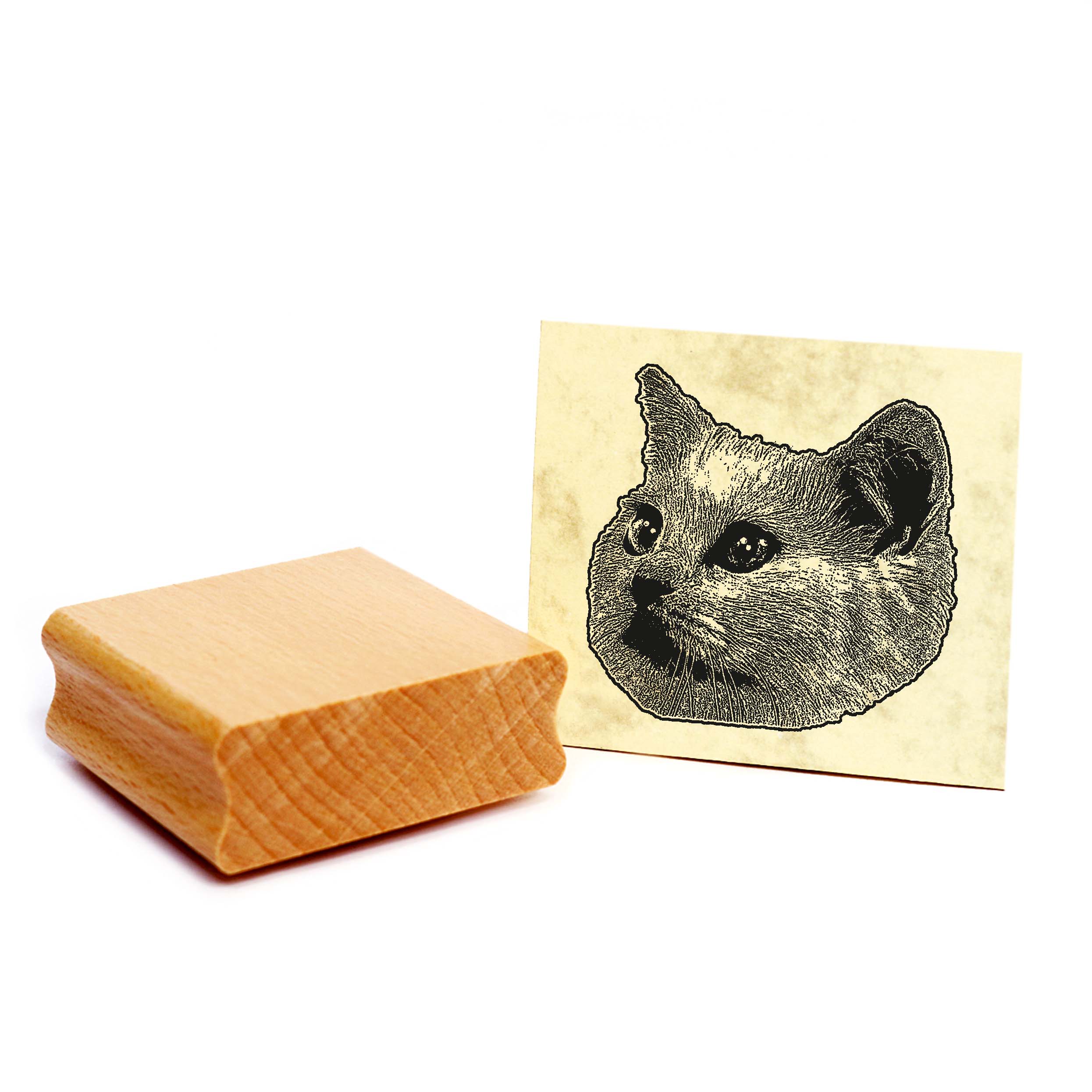 Motivstempel Munchkin-Katze - Stempel Katze Holzstempel ca. 48 x 48 mm