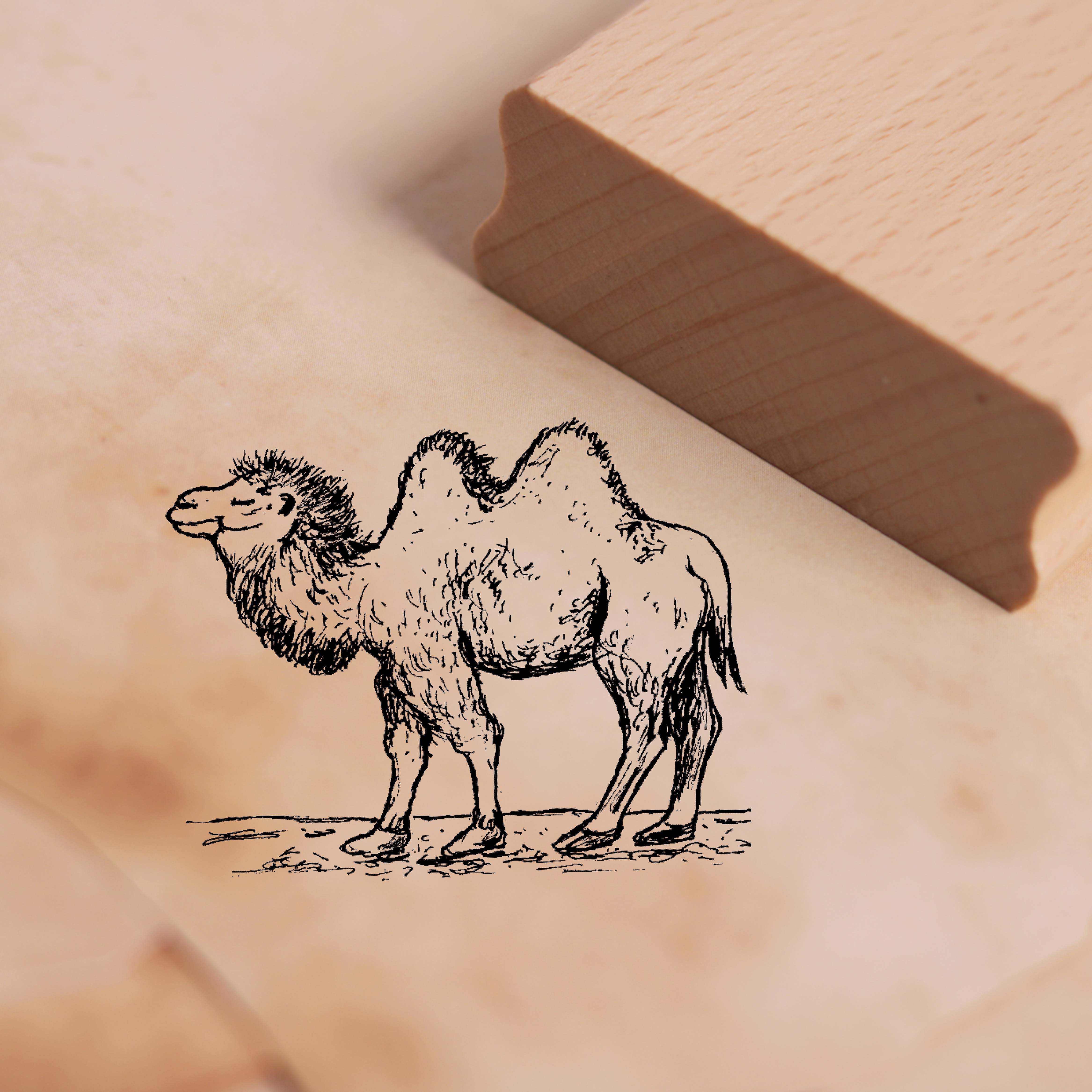 Motivstempel Kamel Stempel 48 x 38 mm