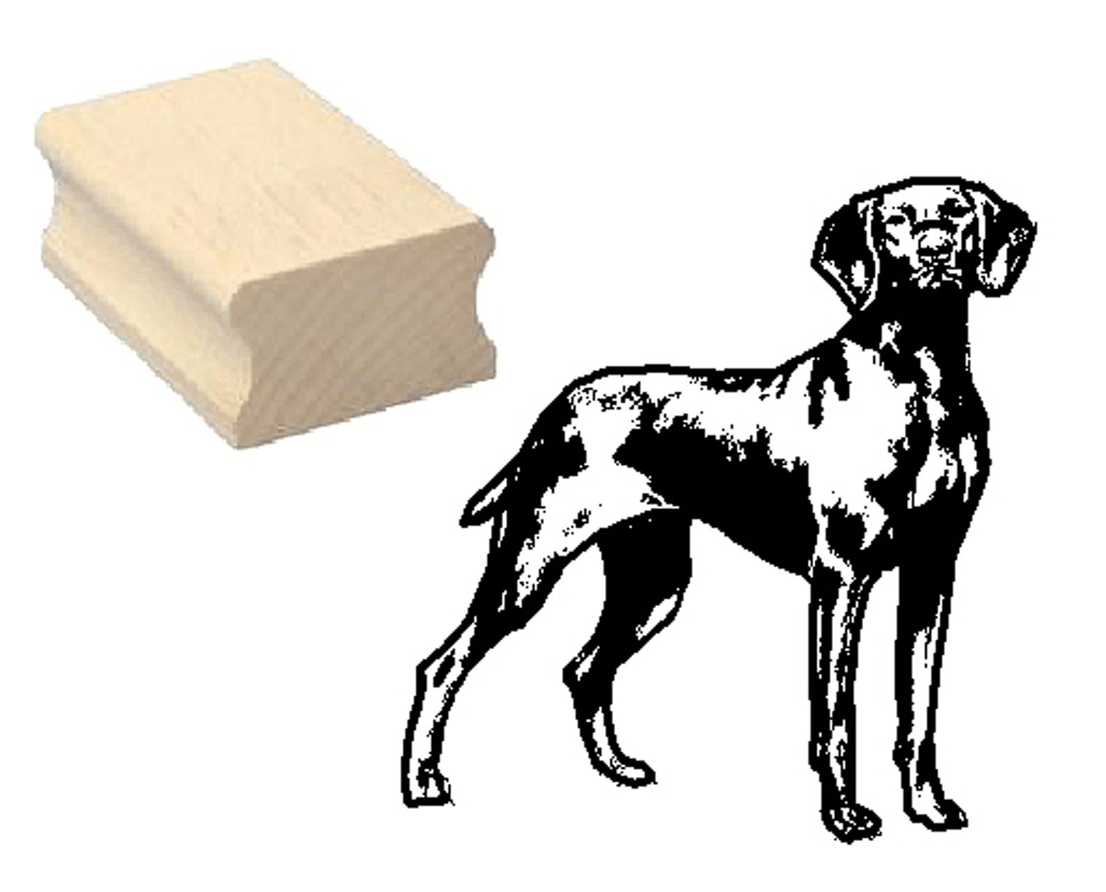 Motivstempel « MAGYAR VIZSLA 02 » Hund