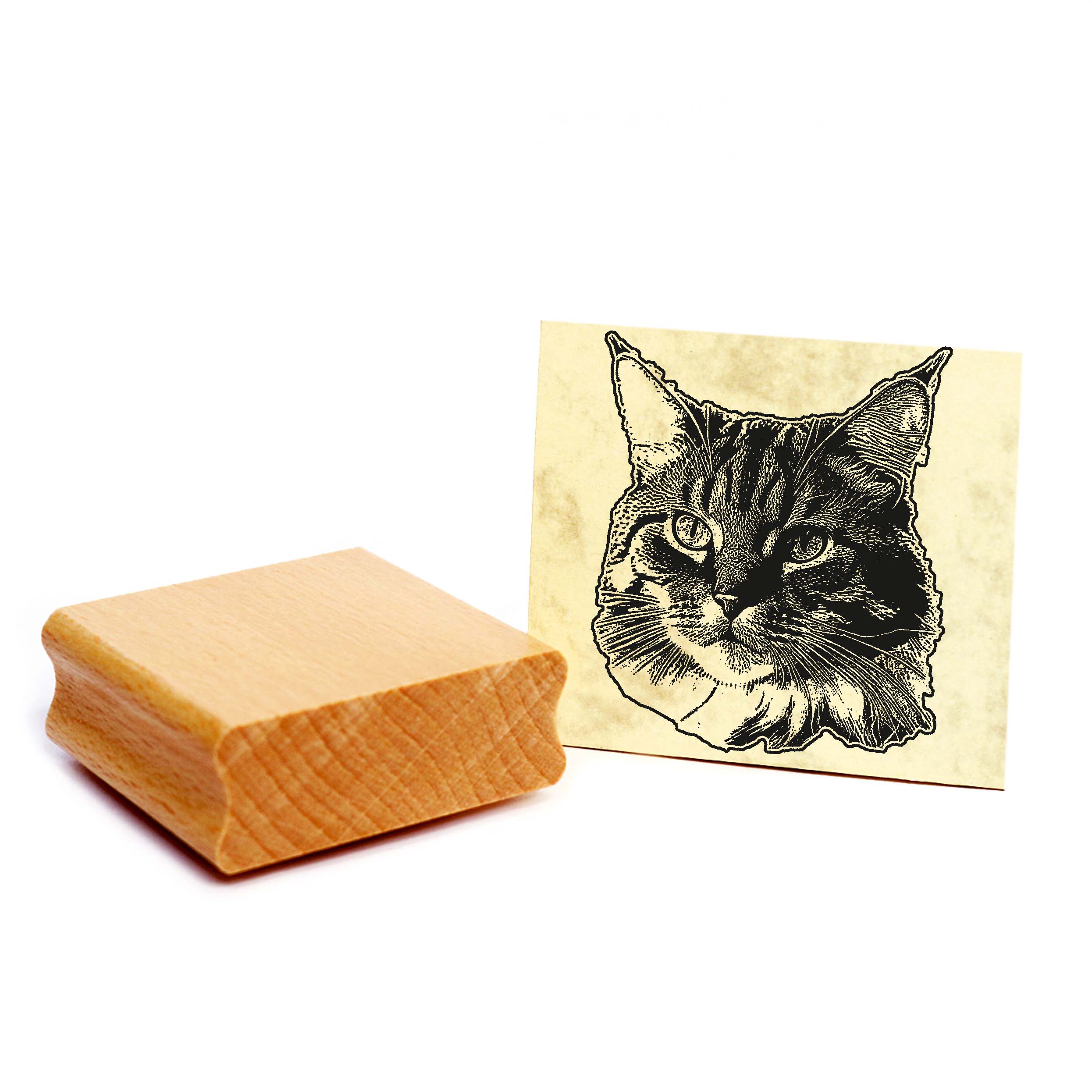 Motivstempel Norwegische Waldkatze - Stempel Katze Holzstempel ca. 48 x 48 mm
