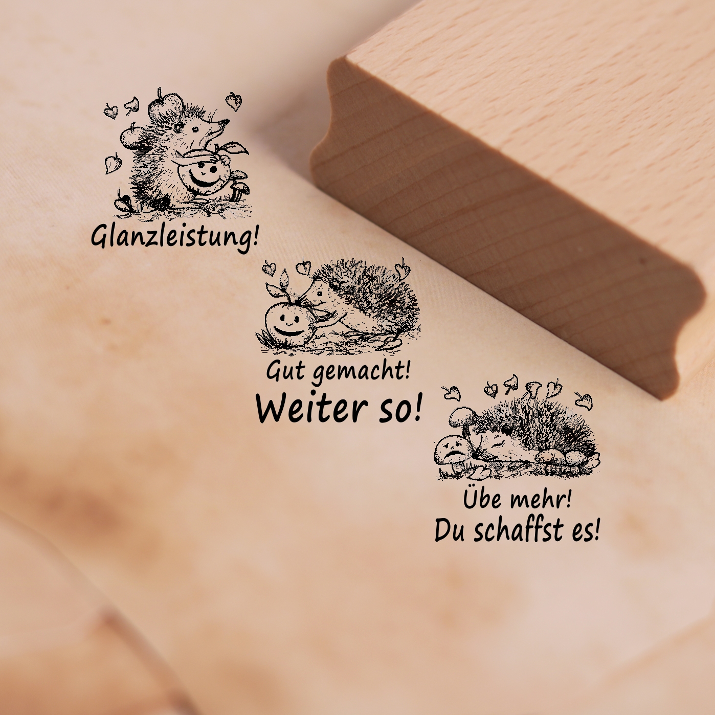 Lehrerstempel Igel im Set - 3 Motivstempel mit Spruch und Motiv für Schule ca. 28 x 28 mm