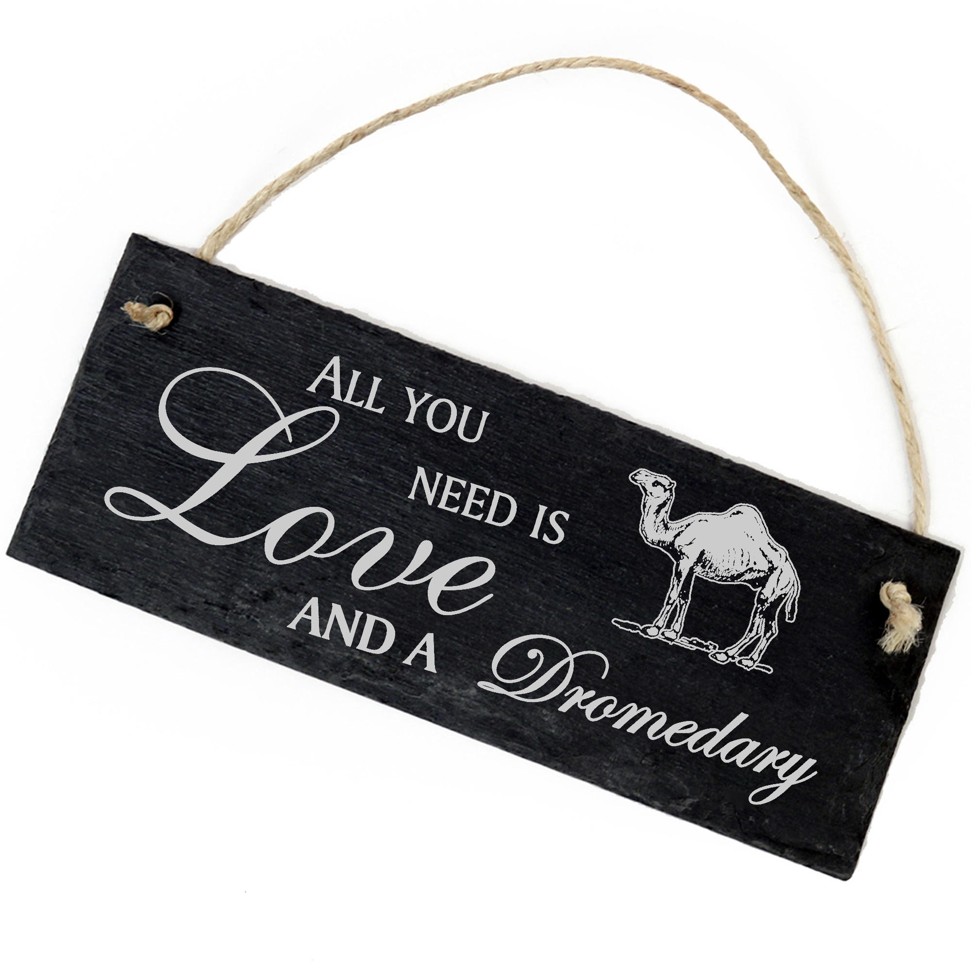 Schiefertafel Deko Dromedar Schild 22 x 8 cm - All you need is Love and a Dromedary