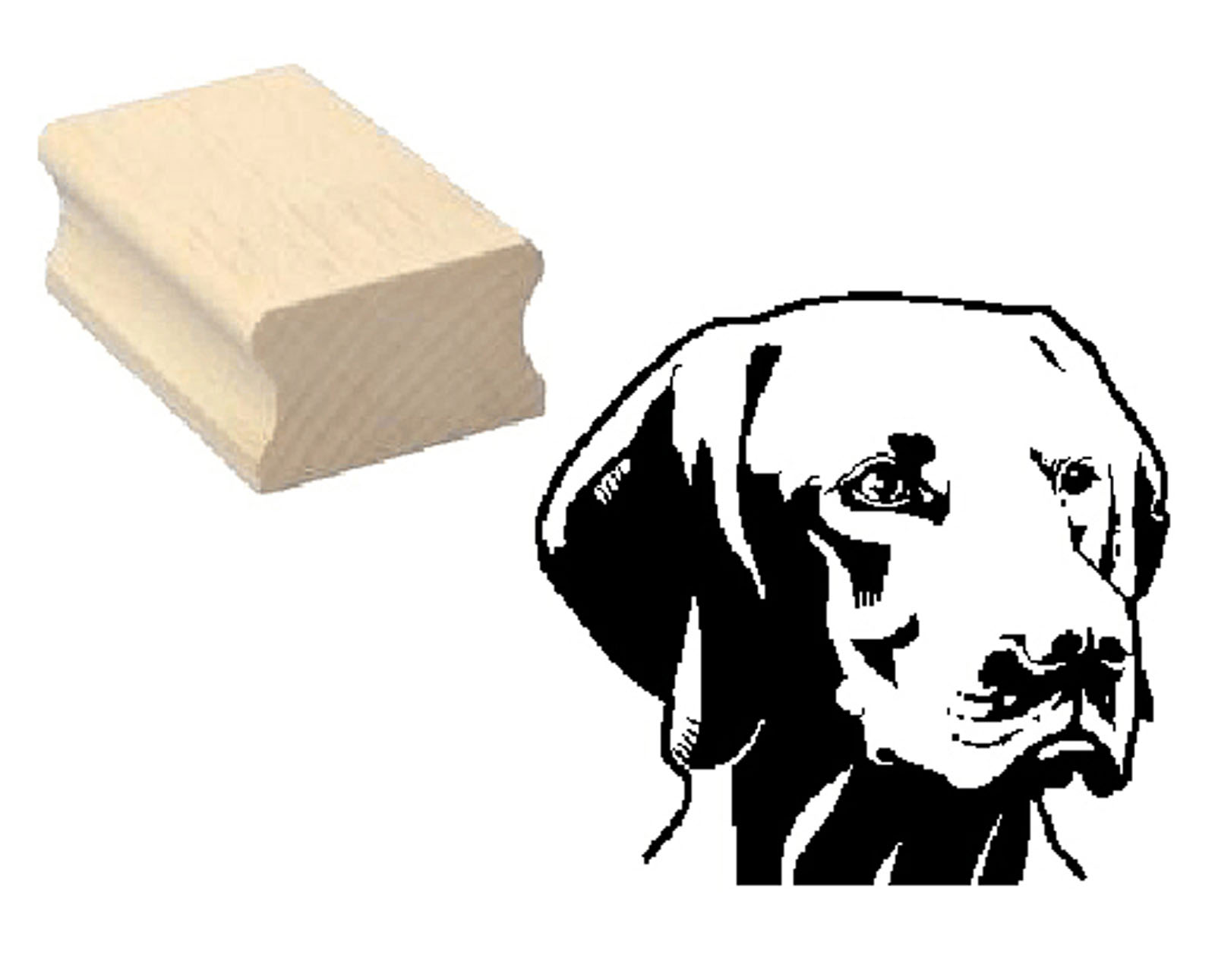 Motivstempel « MAGYAR VIZSLA 01 » Hund