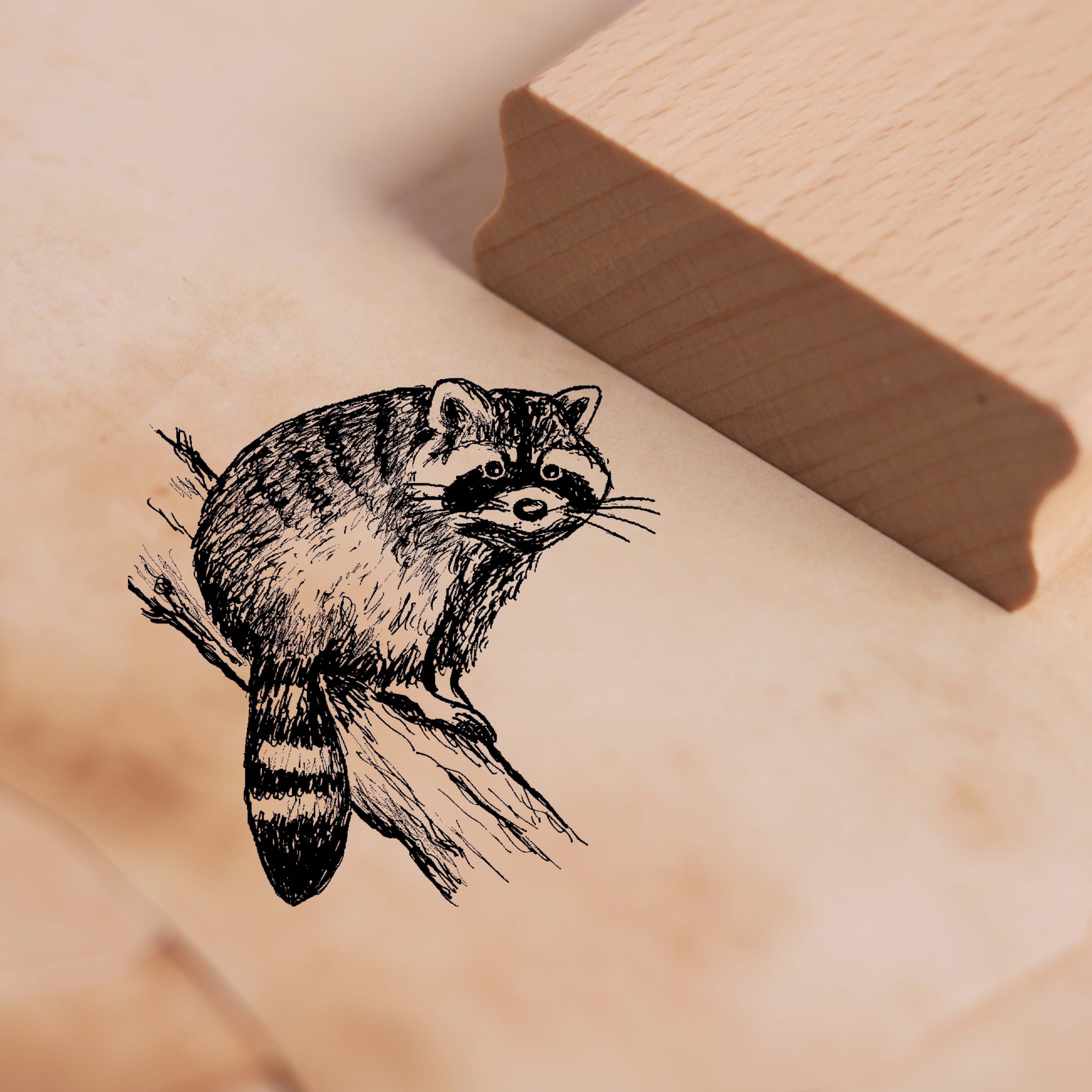 Motivstempel Waschbär auf Ast Stempel 48 x 48 mm